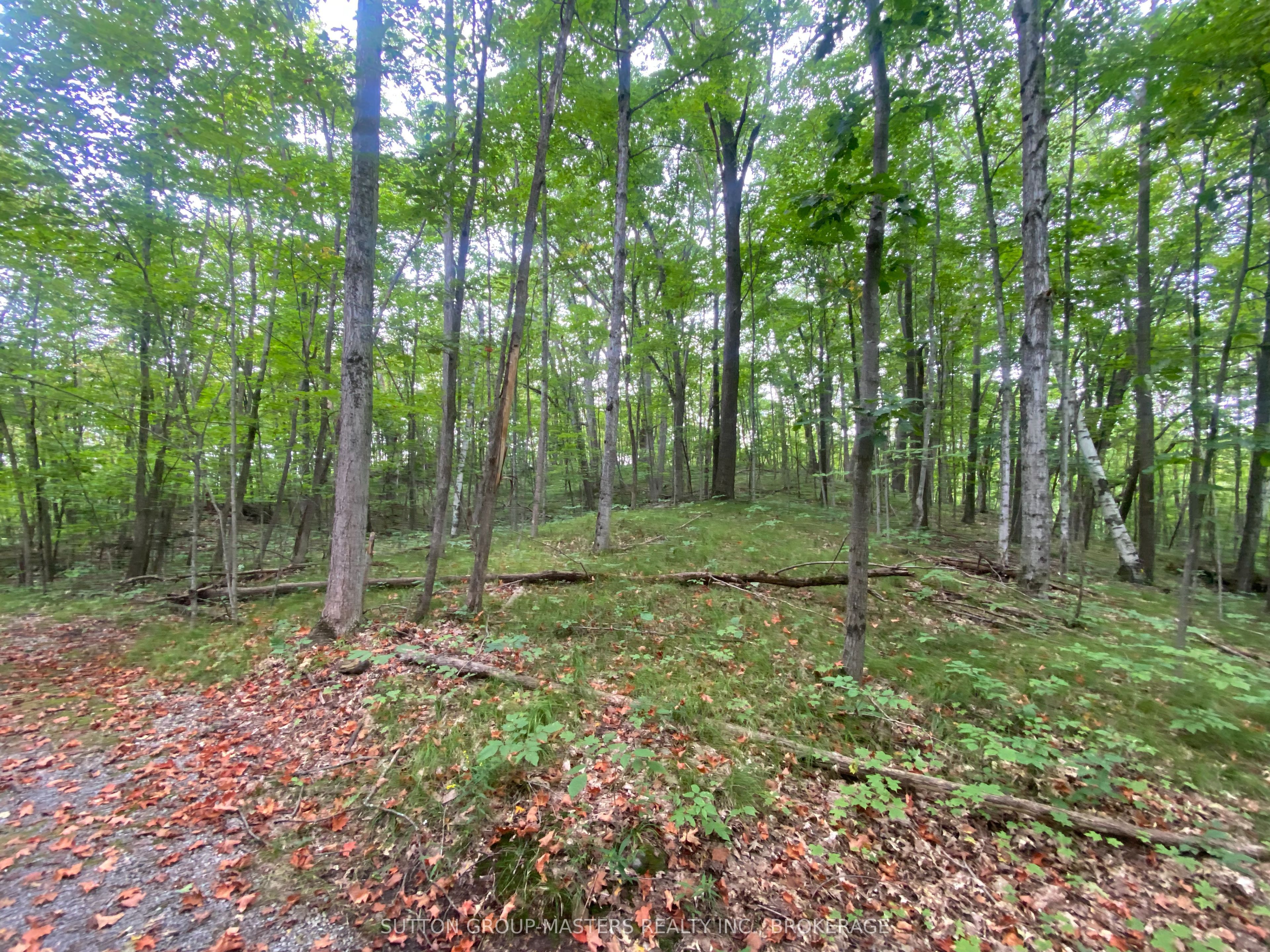 1001 White Lake Road Property Photo 8