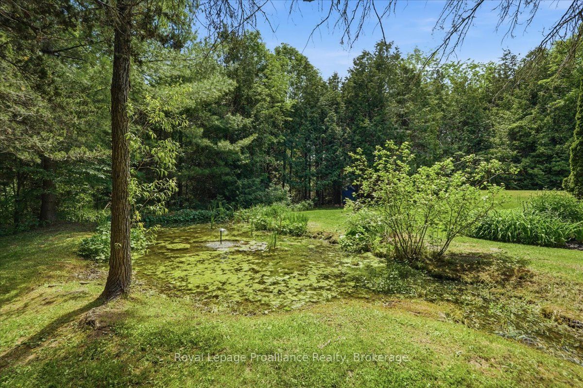 3526 Harmony Road Property Photo 36