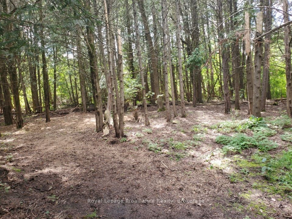3526 Harmony Road Property Photo 49