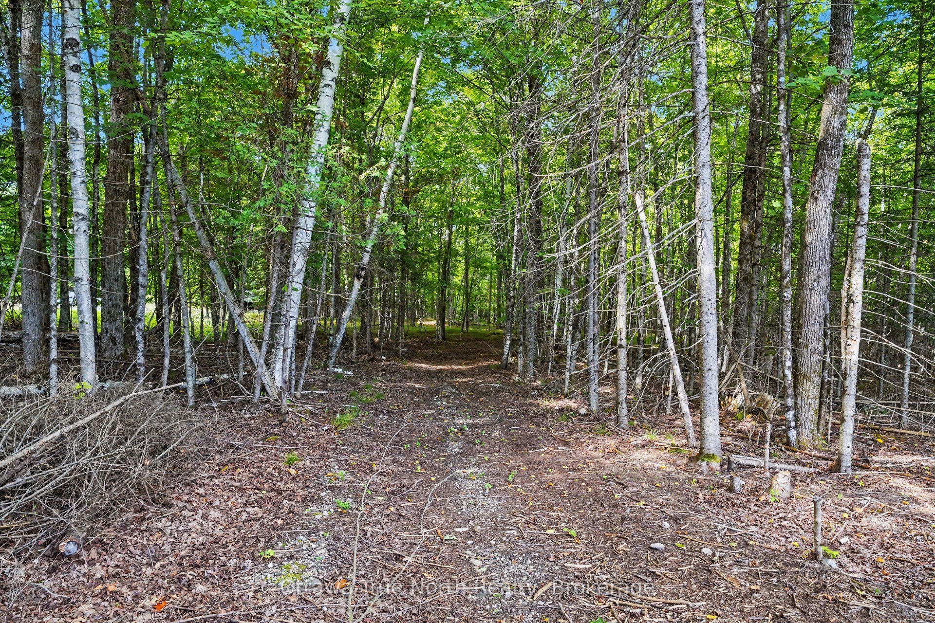 464 Dalhousie 1a Concession Property Photo 28