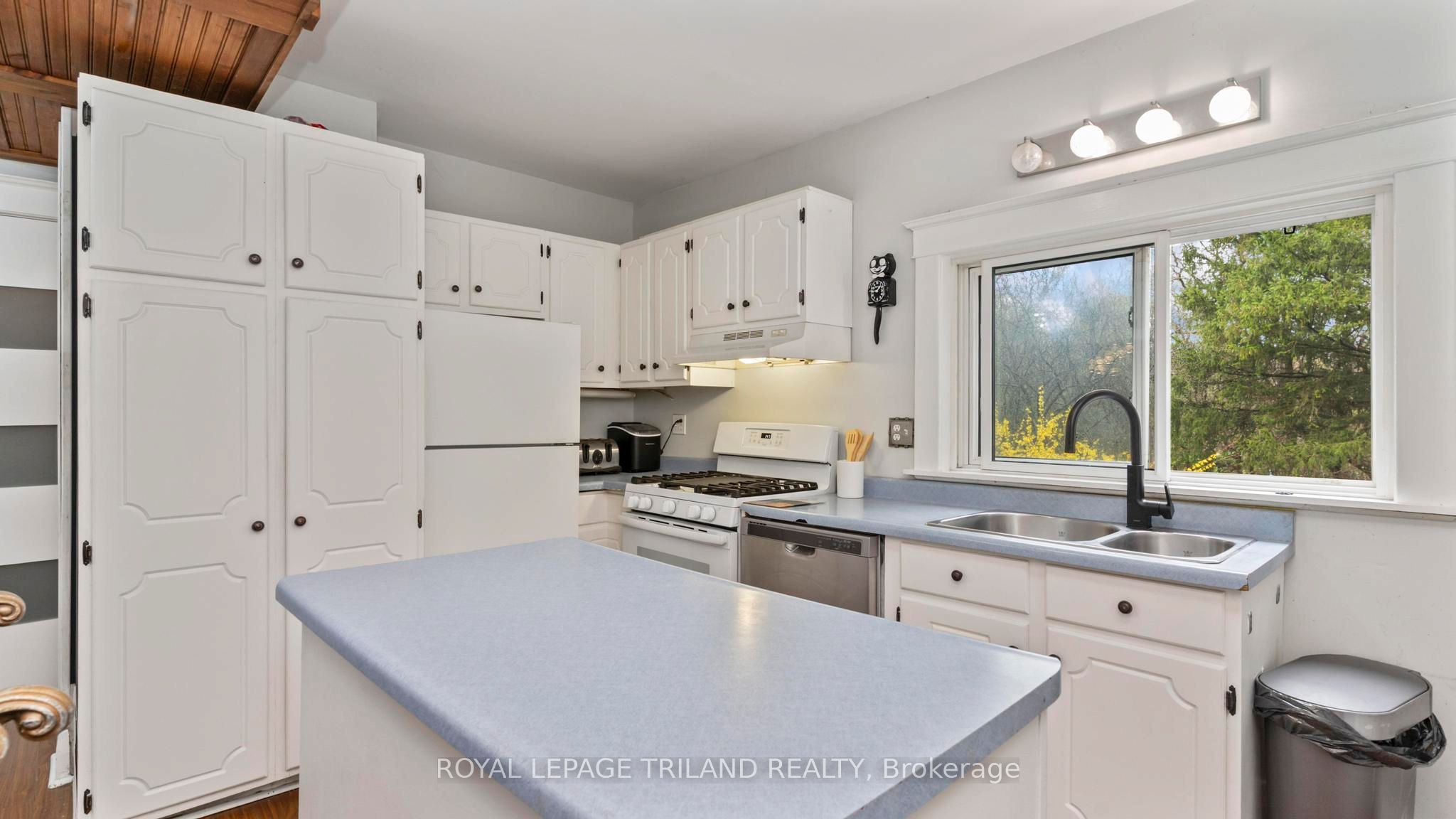 41 Gunn Street Property Photo 9