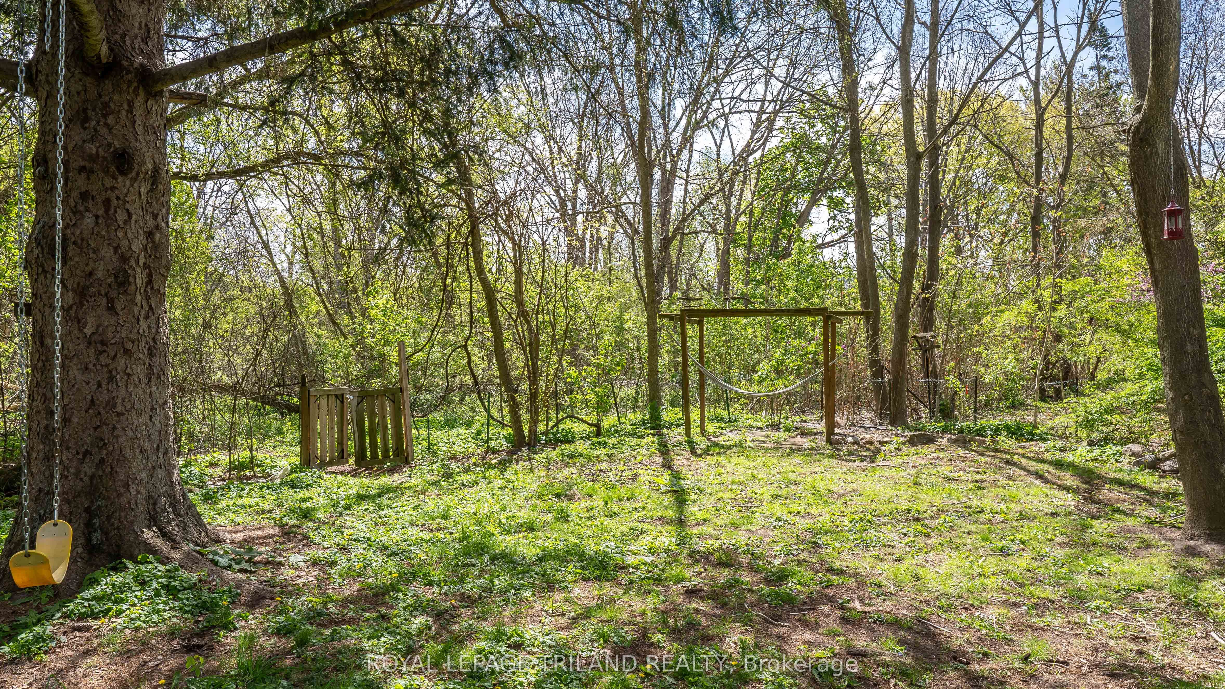 41 Gunn Street Property Photo 29