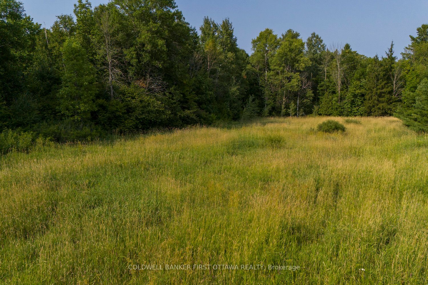 752 Bennett Lake Road Property Photo 8