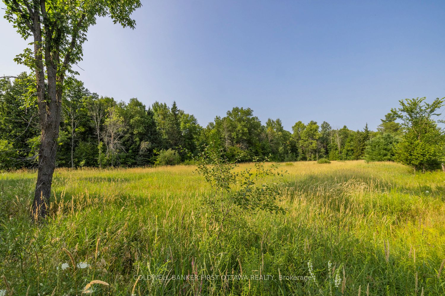 752 Bennett Lake Road Property Photo 9