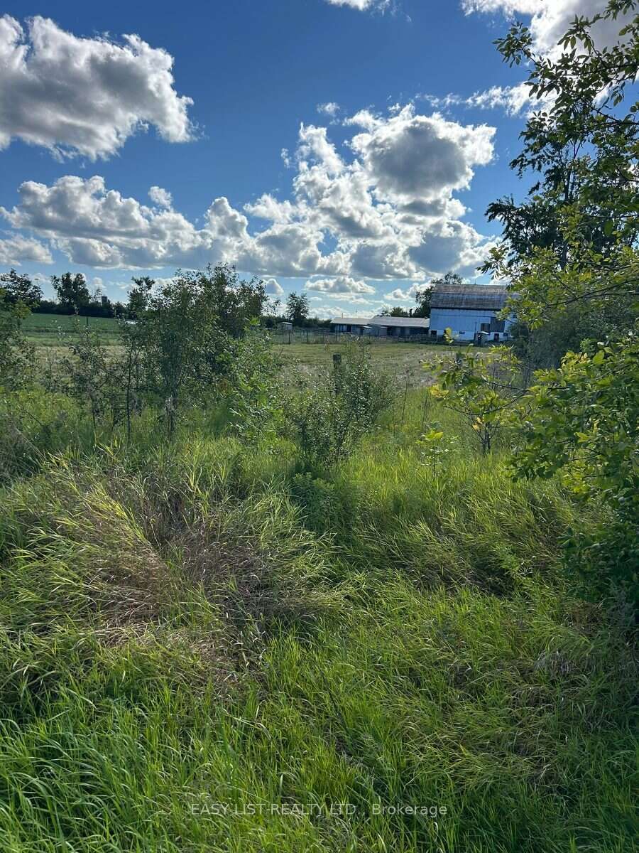 624 Hillhead Road Property Photo 27