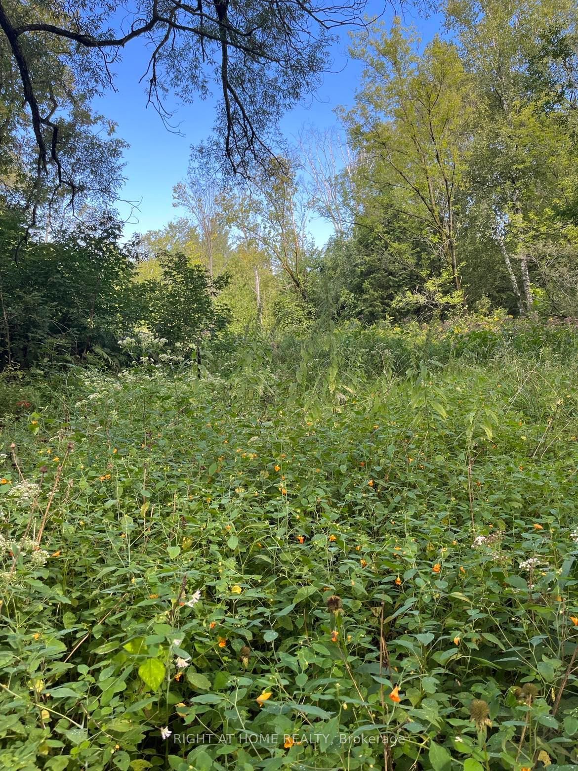 5218 Hillview Drive Property Photo 4