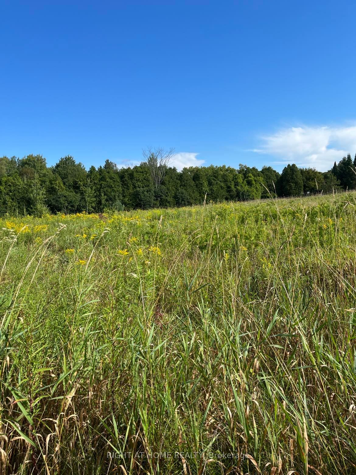5218 Hillview Drive Property Photo 7