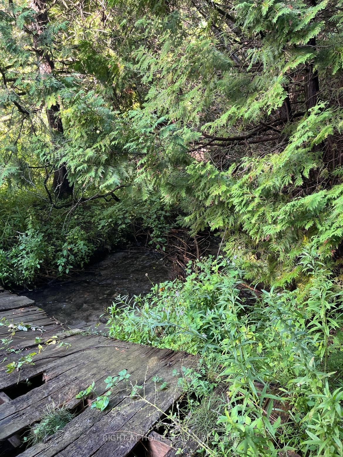 5218 Hillview Drive Property Photo 11