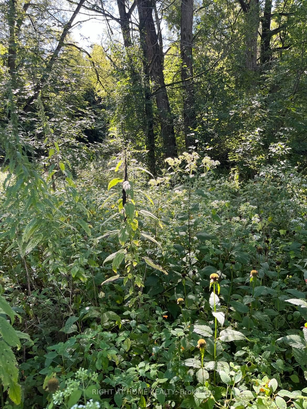 5218 Hillview Drive Property Photo 12