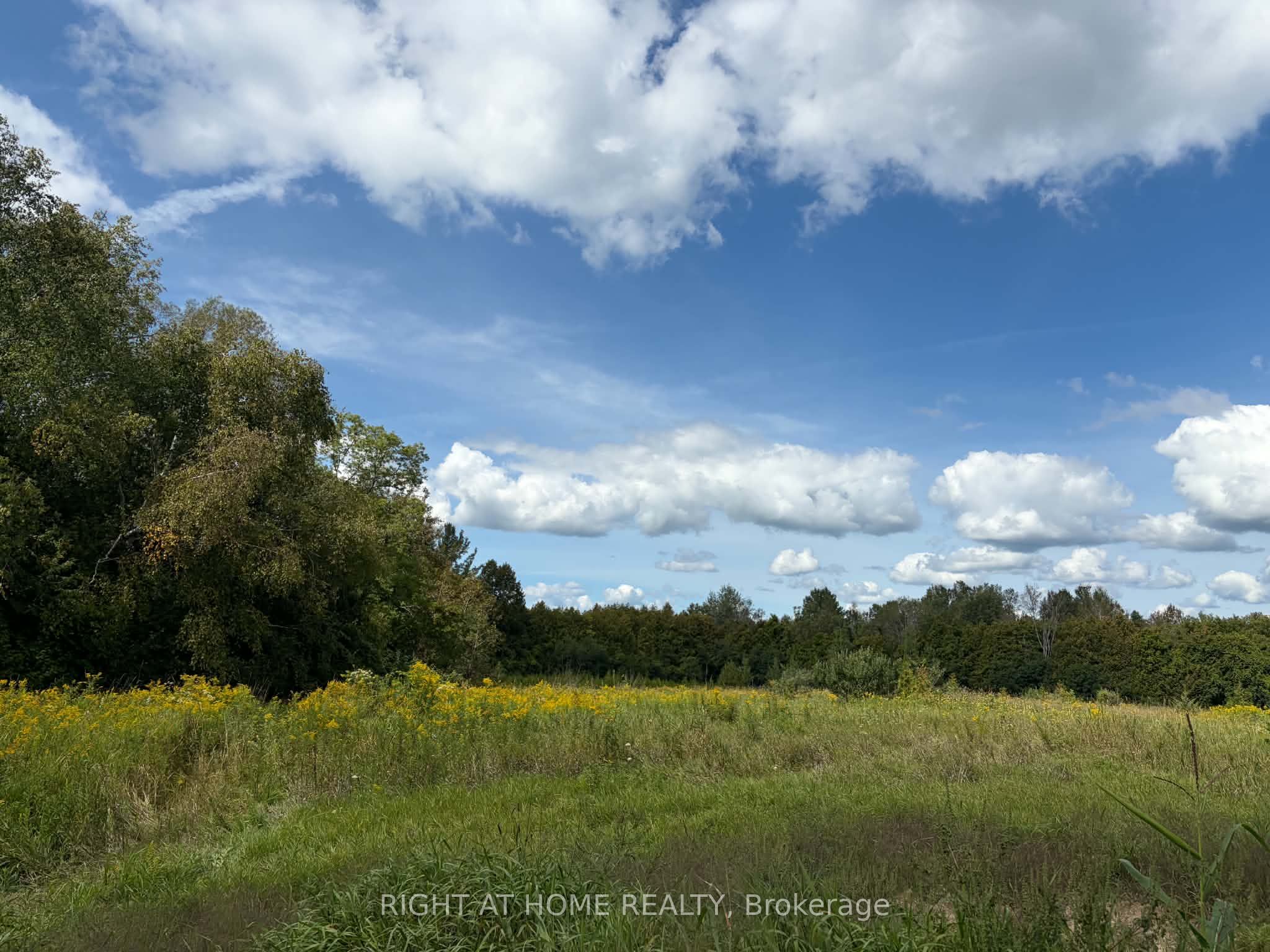 5218 Hillview Drive Property Photo 13