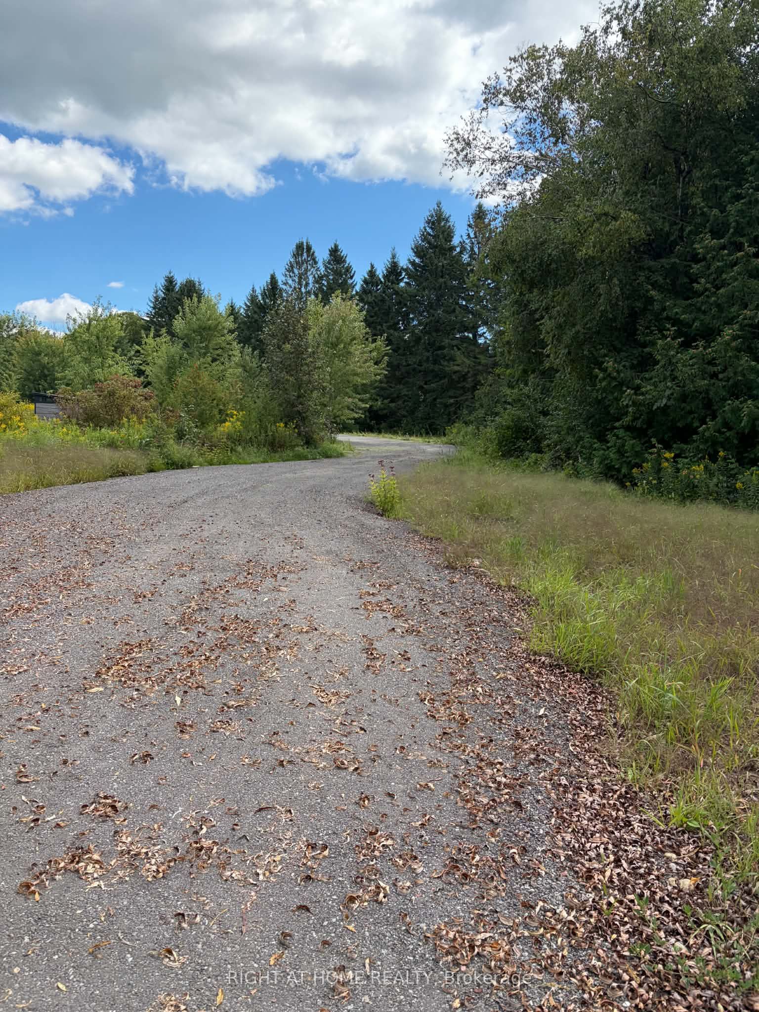 5218 Hillview Drive Property Photo 14
