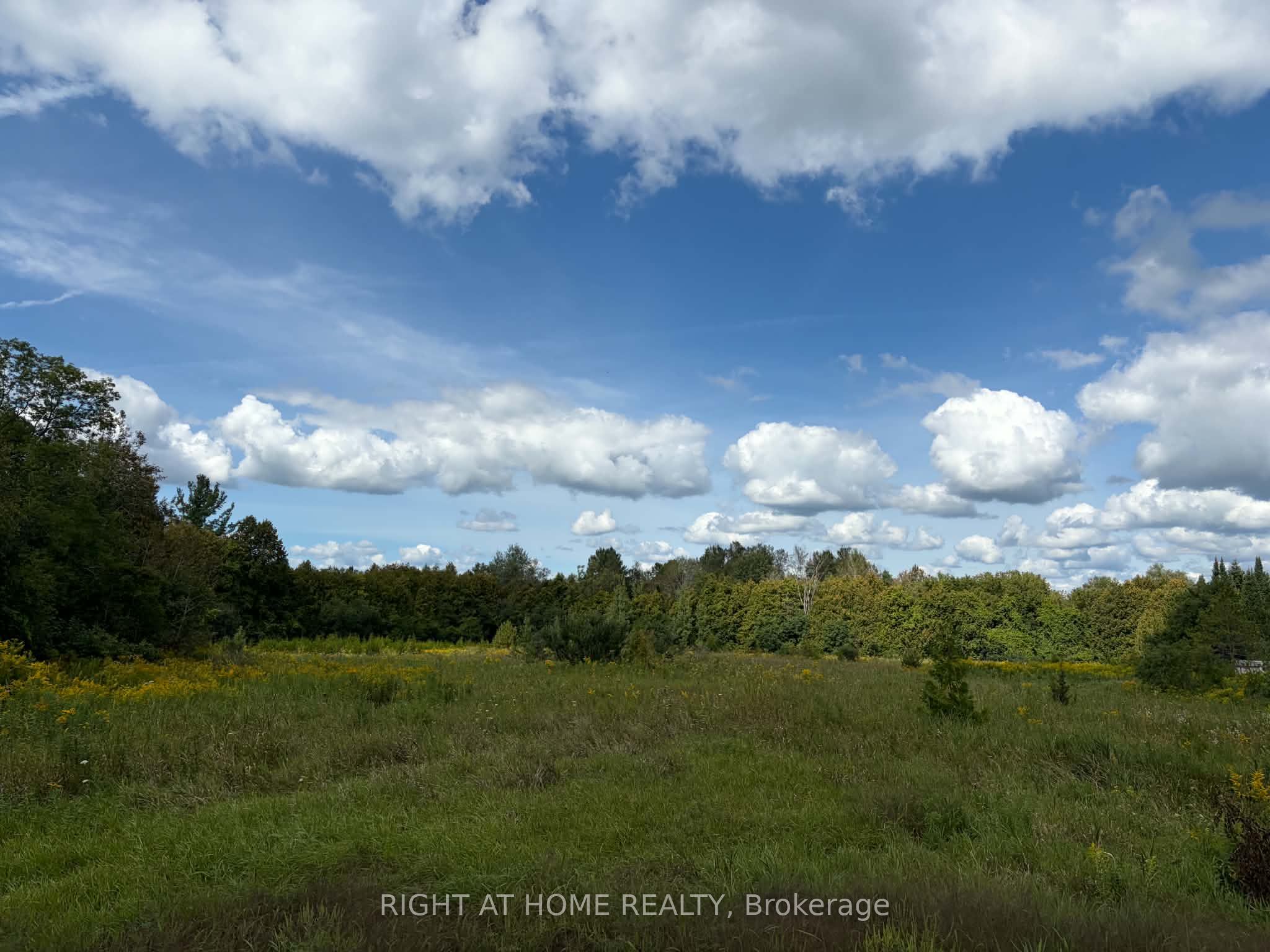 5218 Hillview Drive Property Photo 15