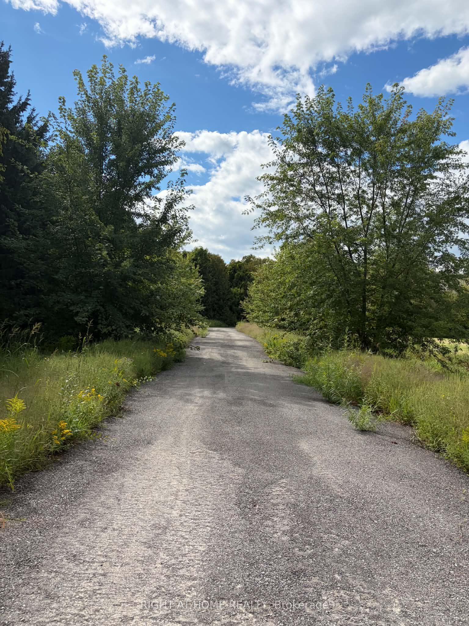 5218 Hillview Drive Property Photo 16