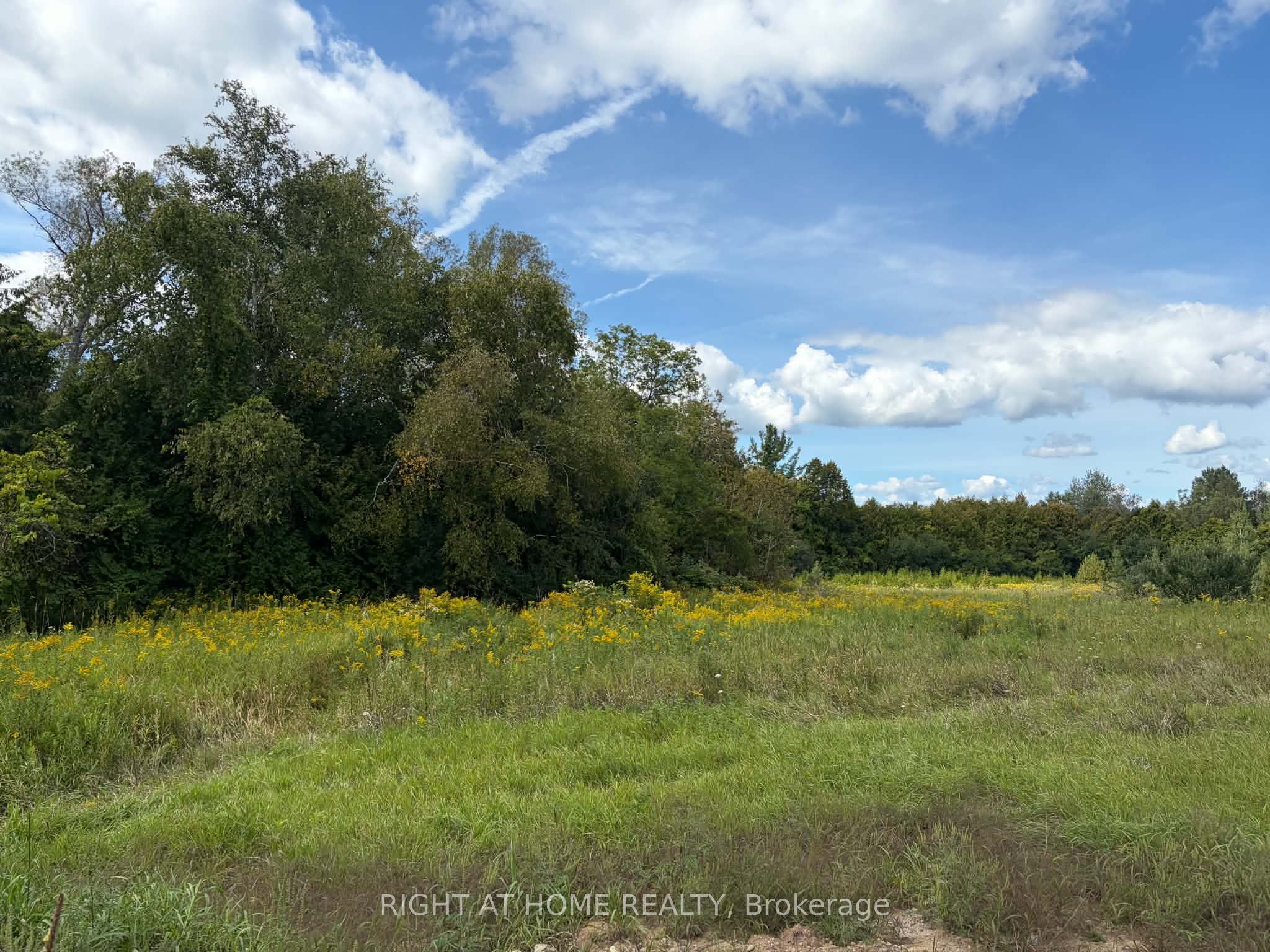 5218 Hillview Drive Property Photo 17