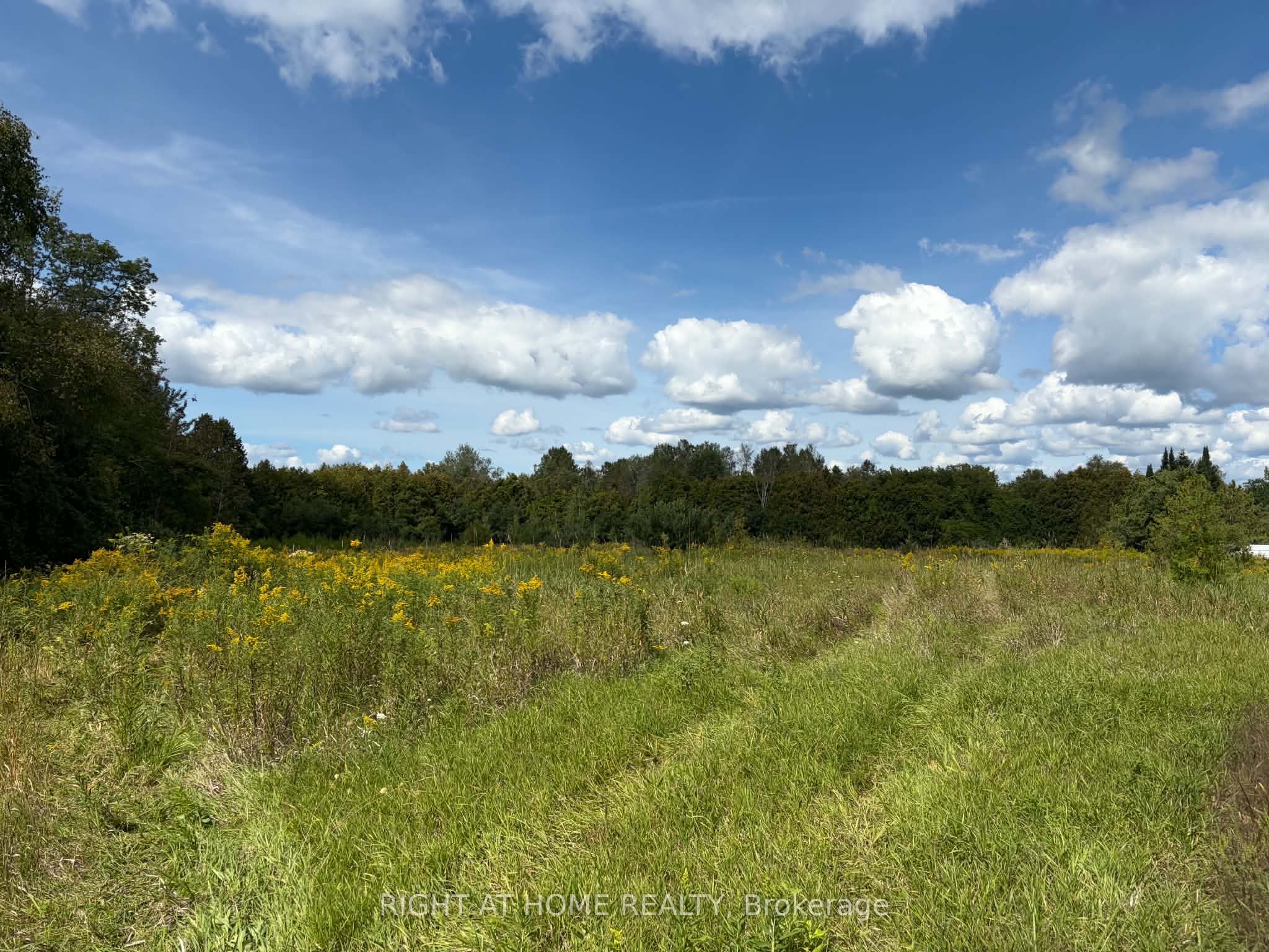 5218 Hillview Drive Property Photo 18