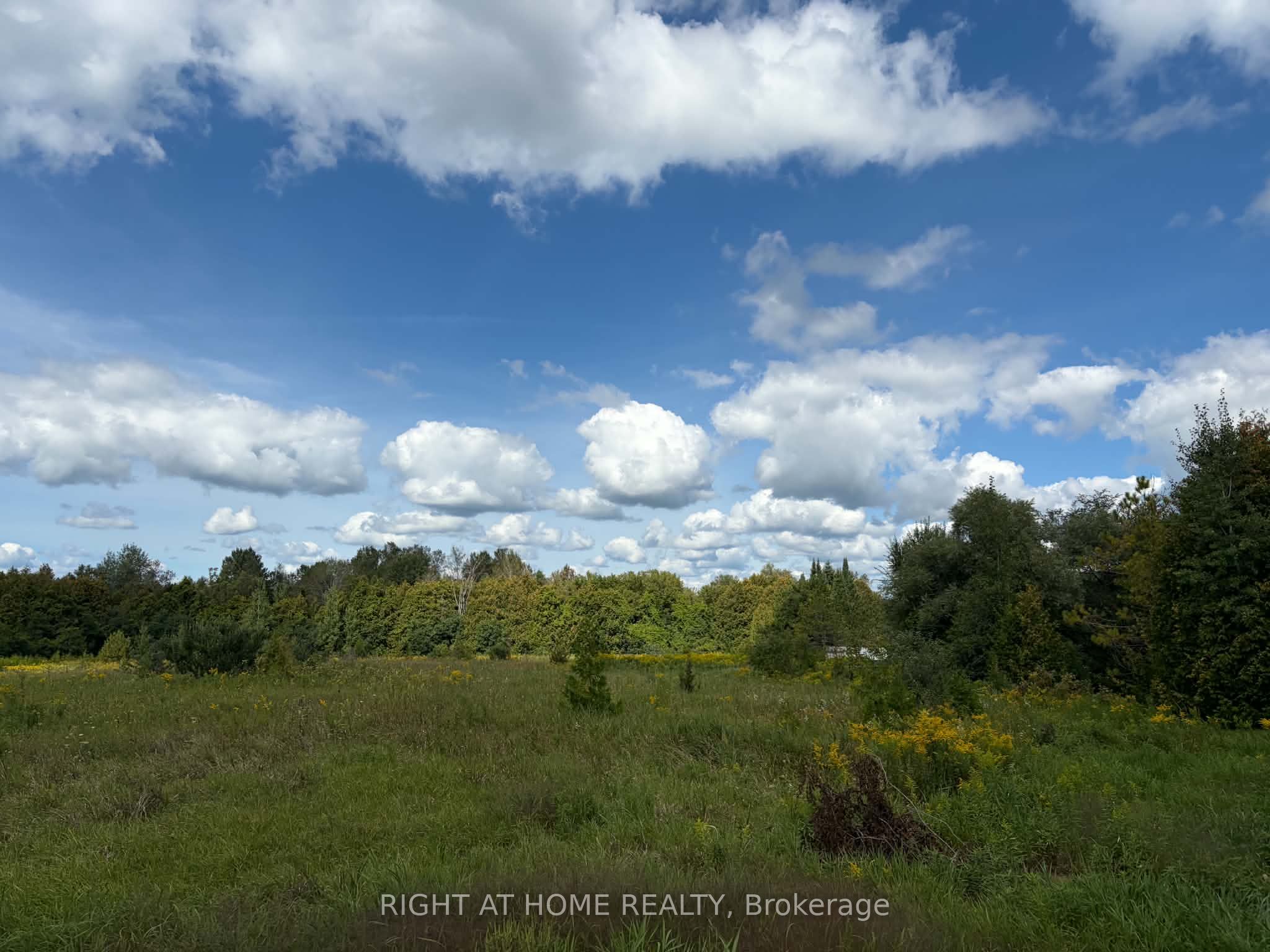 5218 Hillview Drive Property Photo 19