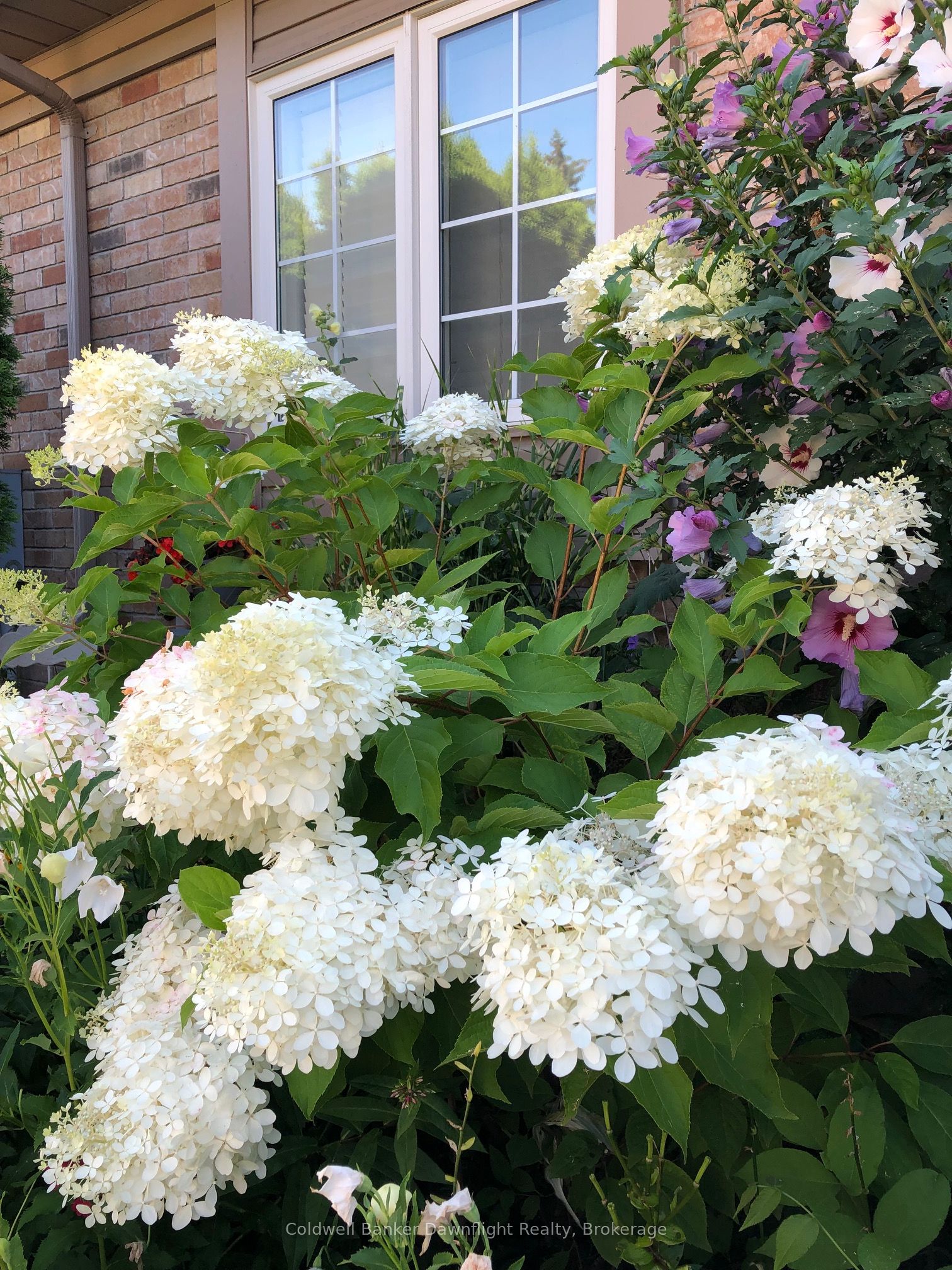7 Brookside Place Property Photo 39