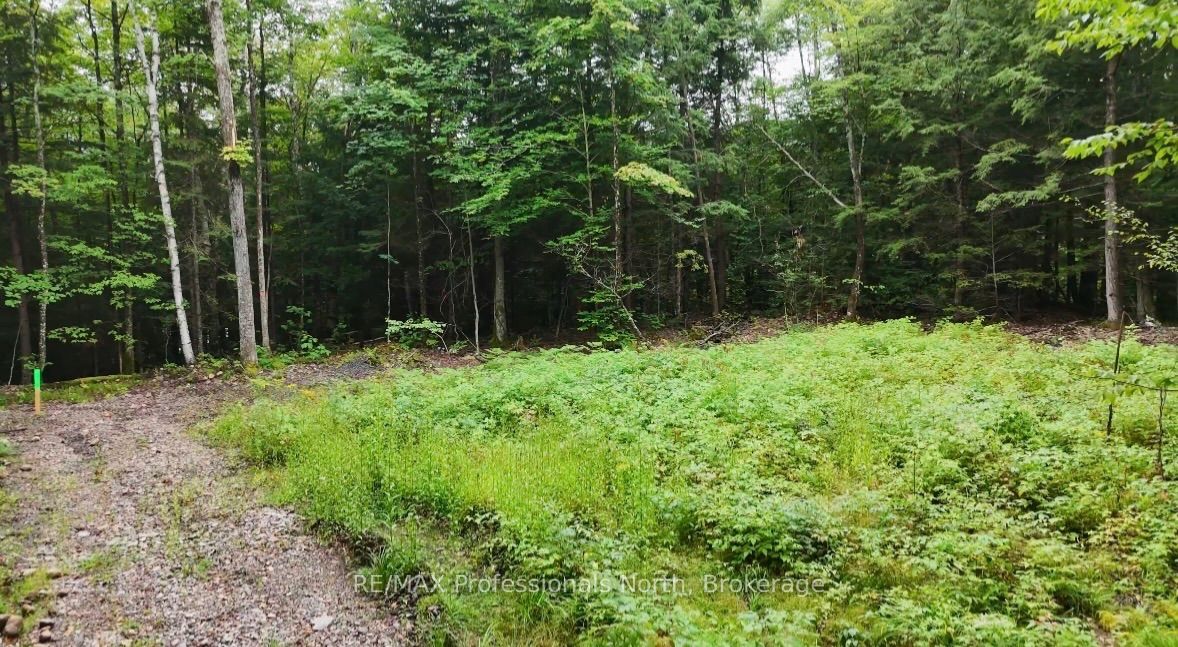 1211 Hawk Valley Road Property Photo 10