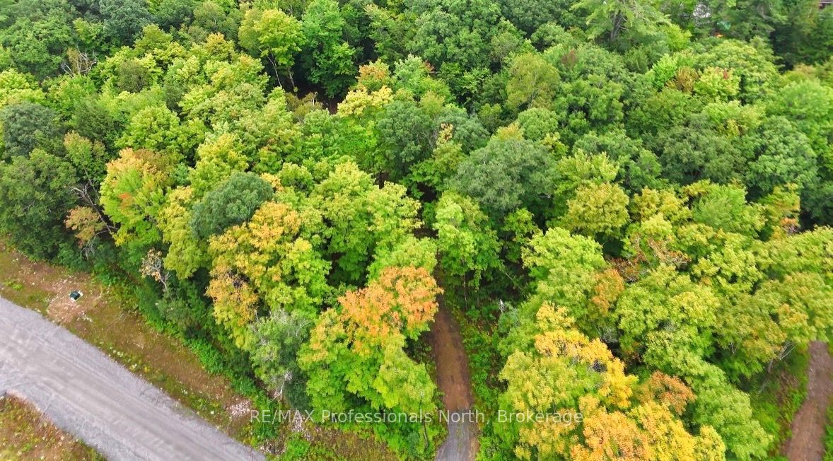 1211 Hawk Valley Road Property Photo 11
