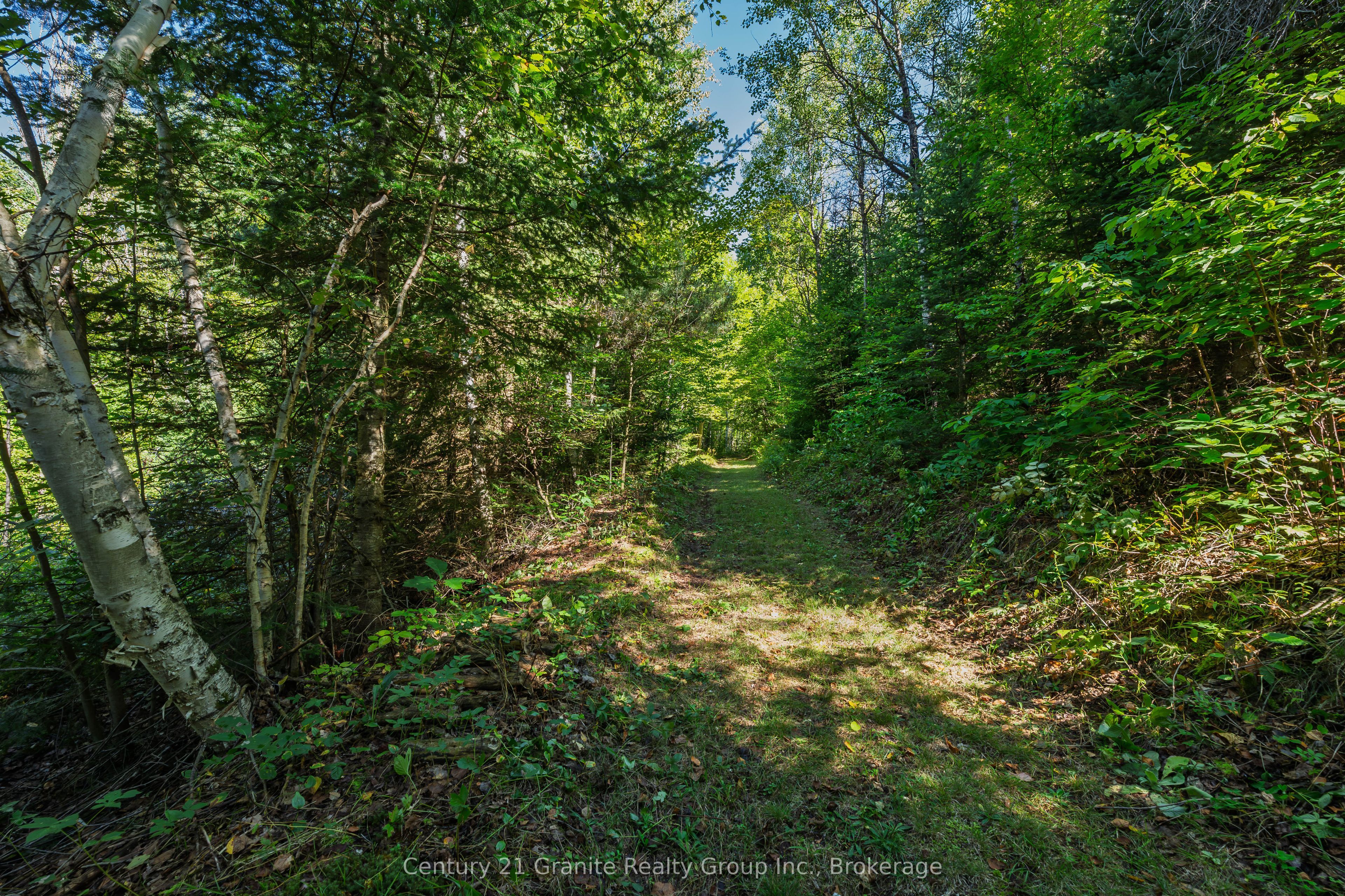 1961 Irondale Road Property Photo 14