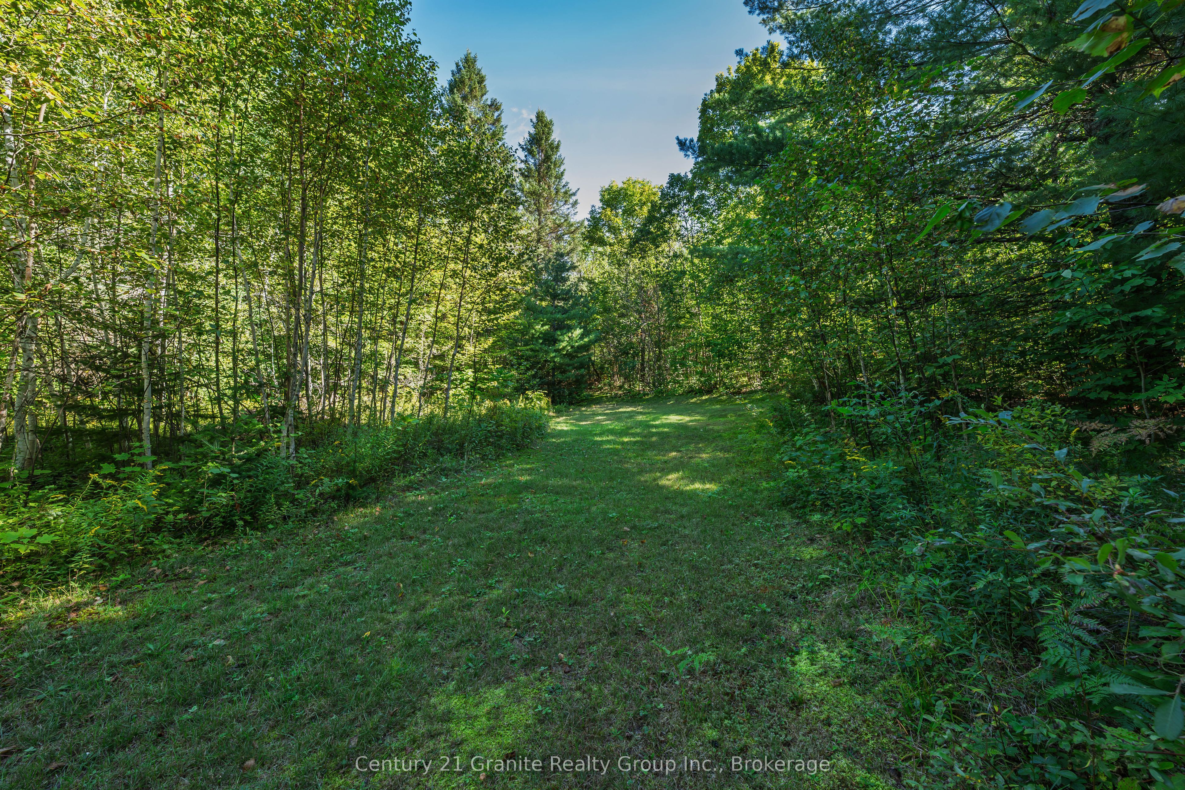 1961 Irondale Road Property Photo 15