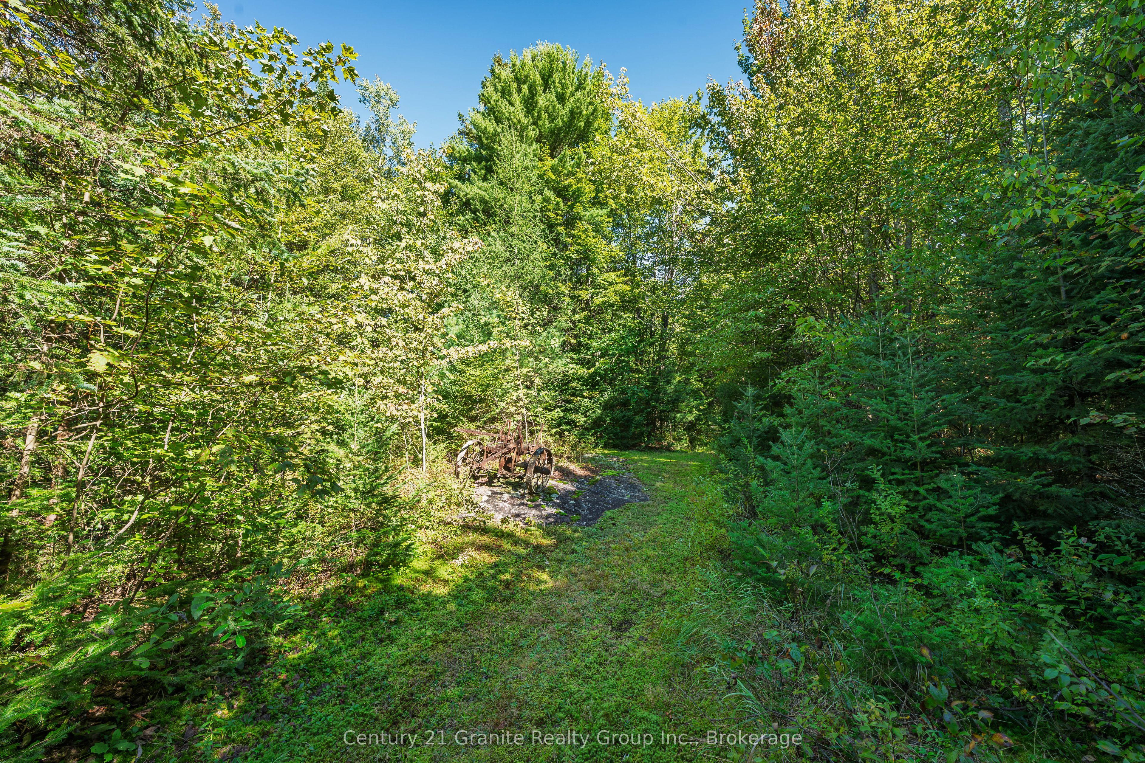 1961 Irondale Road Property Photo 17
