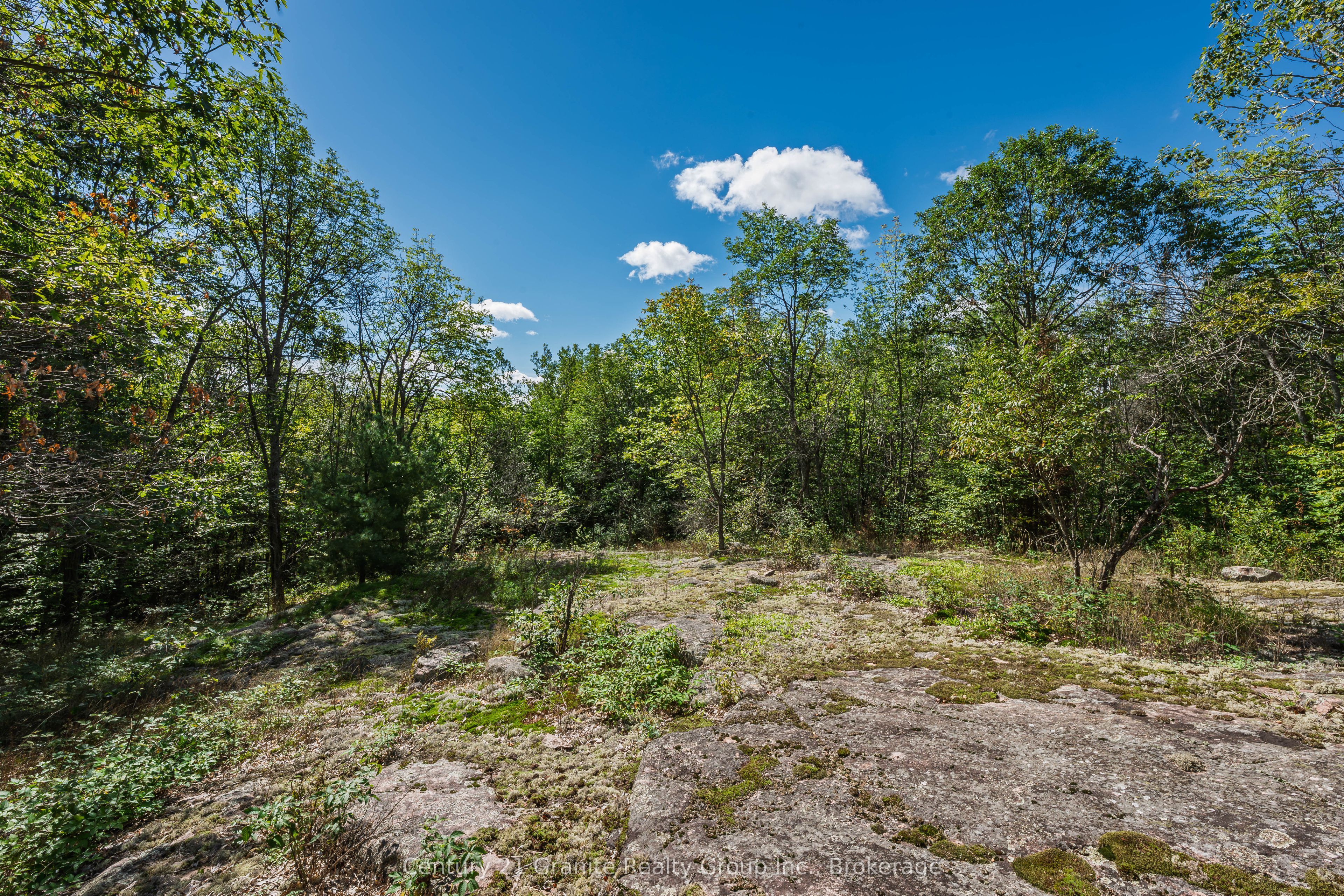 1961 Irondale Road Property Photo 34