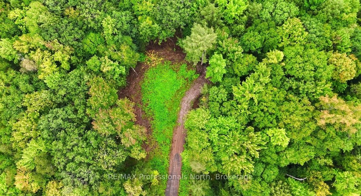 1247 Hawk Valley Road Property Photo 2