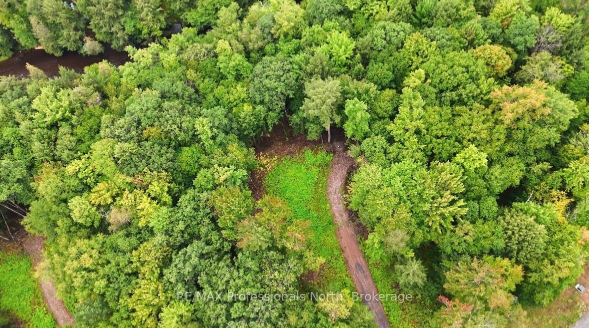 1247 Hawk Valley Road Property Photo 3