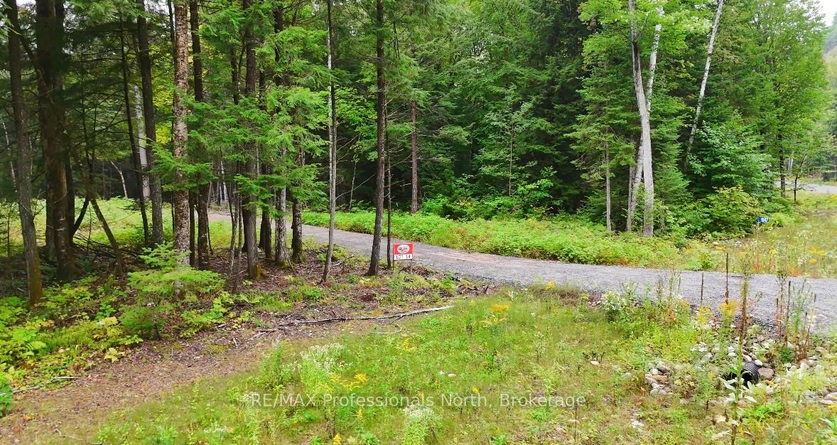 1247 Hawk Valley Road Property Photo 6