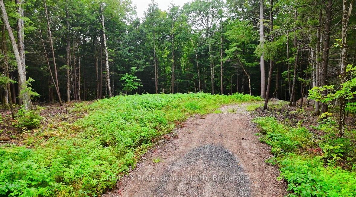 1247 Hawk Valley Road Property Photo 7
