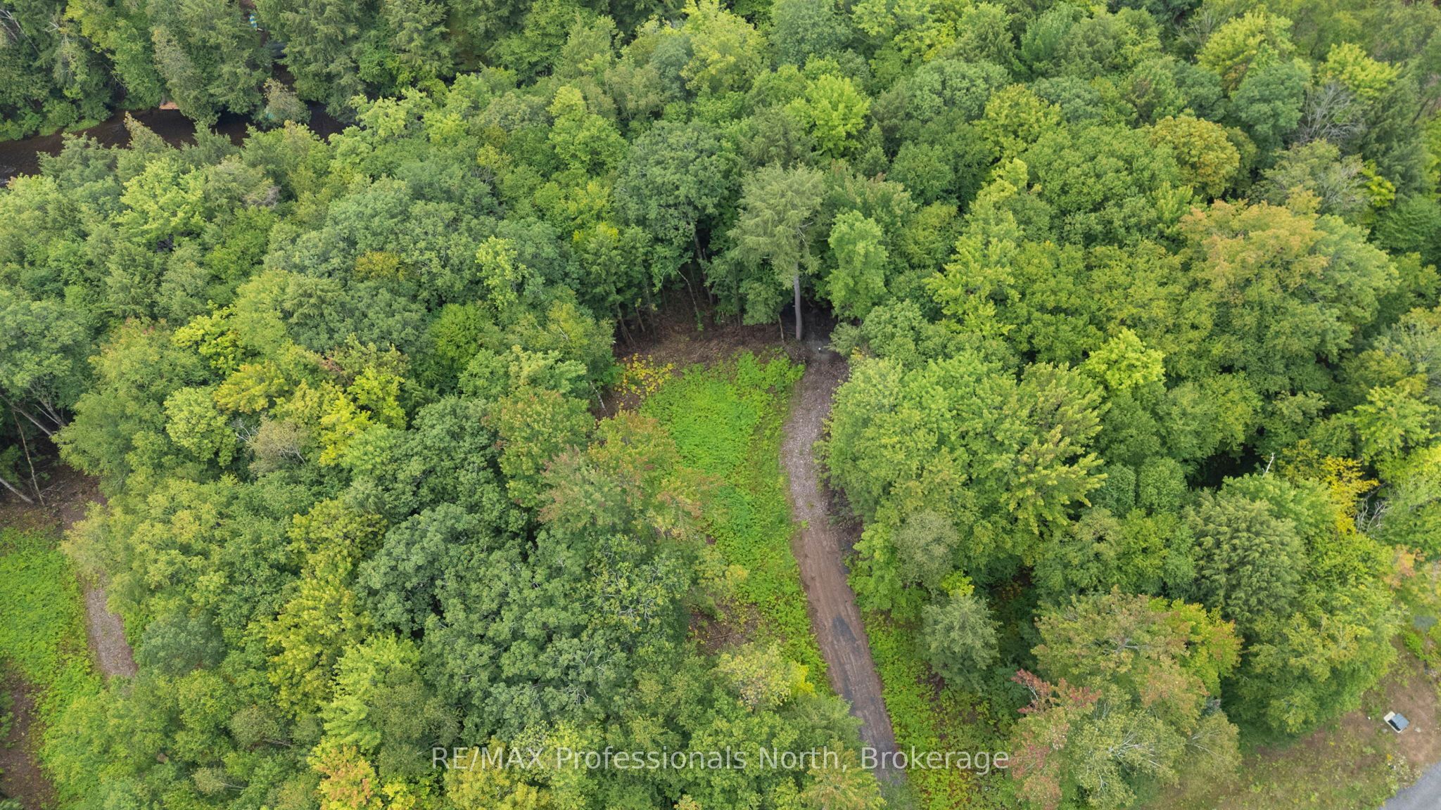 1247 Hawk Valley Road Property Photo 9