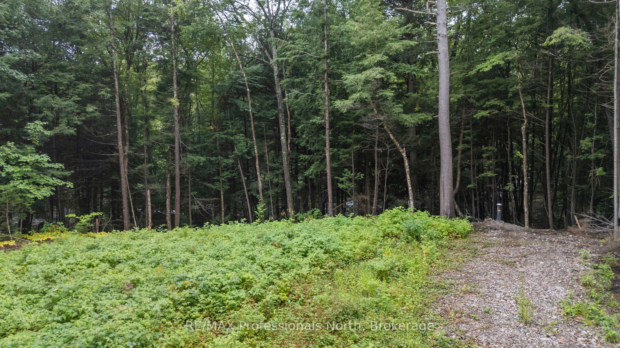 1247 Hawk Valley Road Property Photo 11