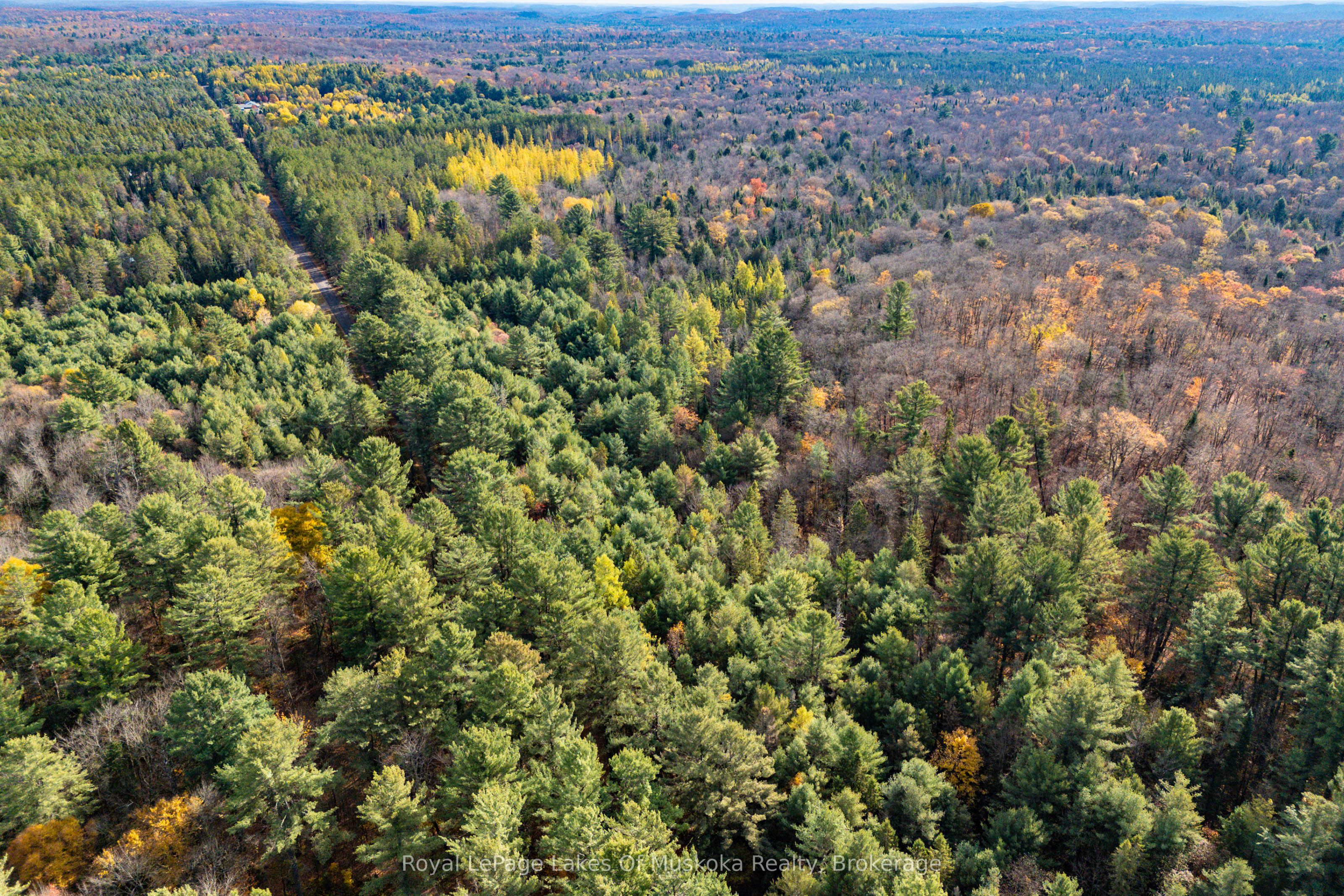 267 & 321 Cardwell Lake Road Property Photo 4