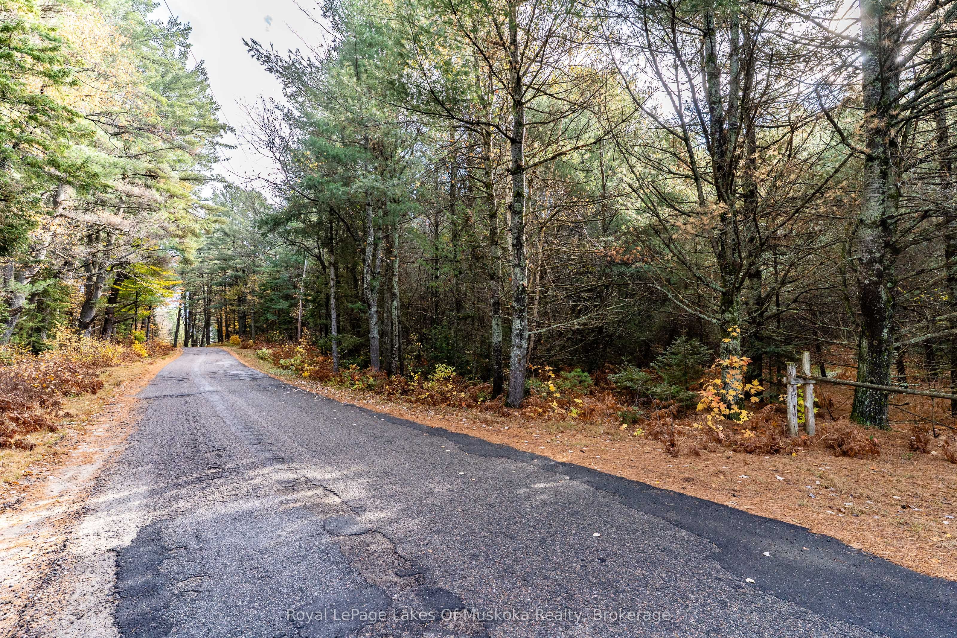 267 & 321 Cardwell Lake Road Property Photo 6