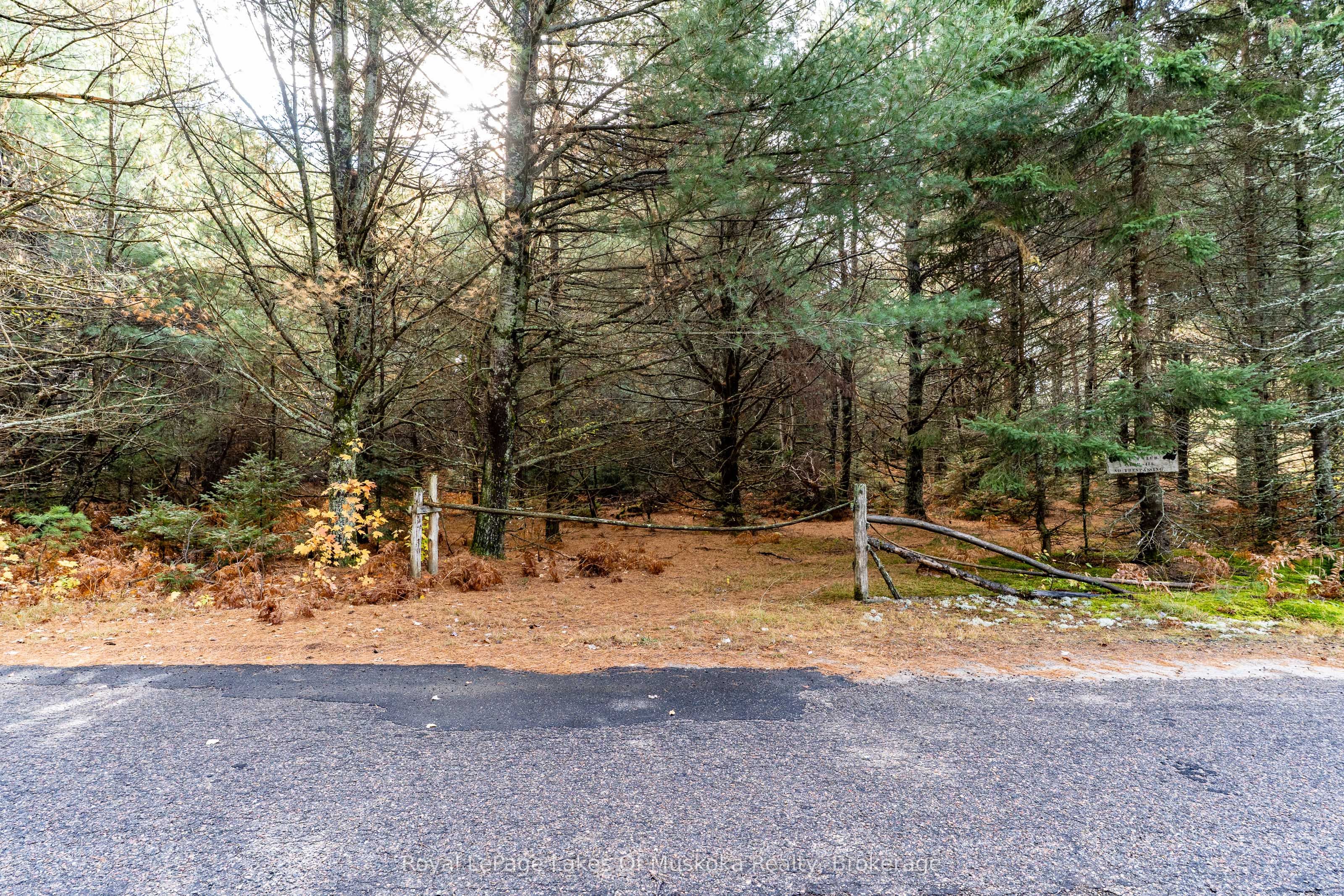 267 & 321 Cardwell Lake Road Property Photo 10