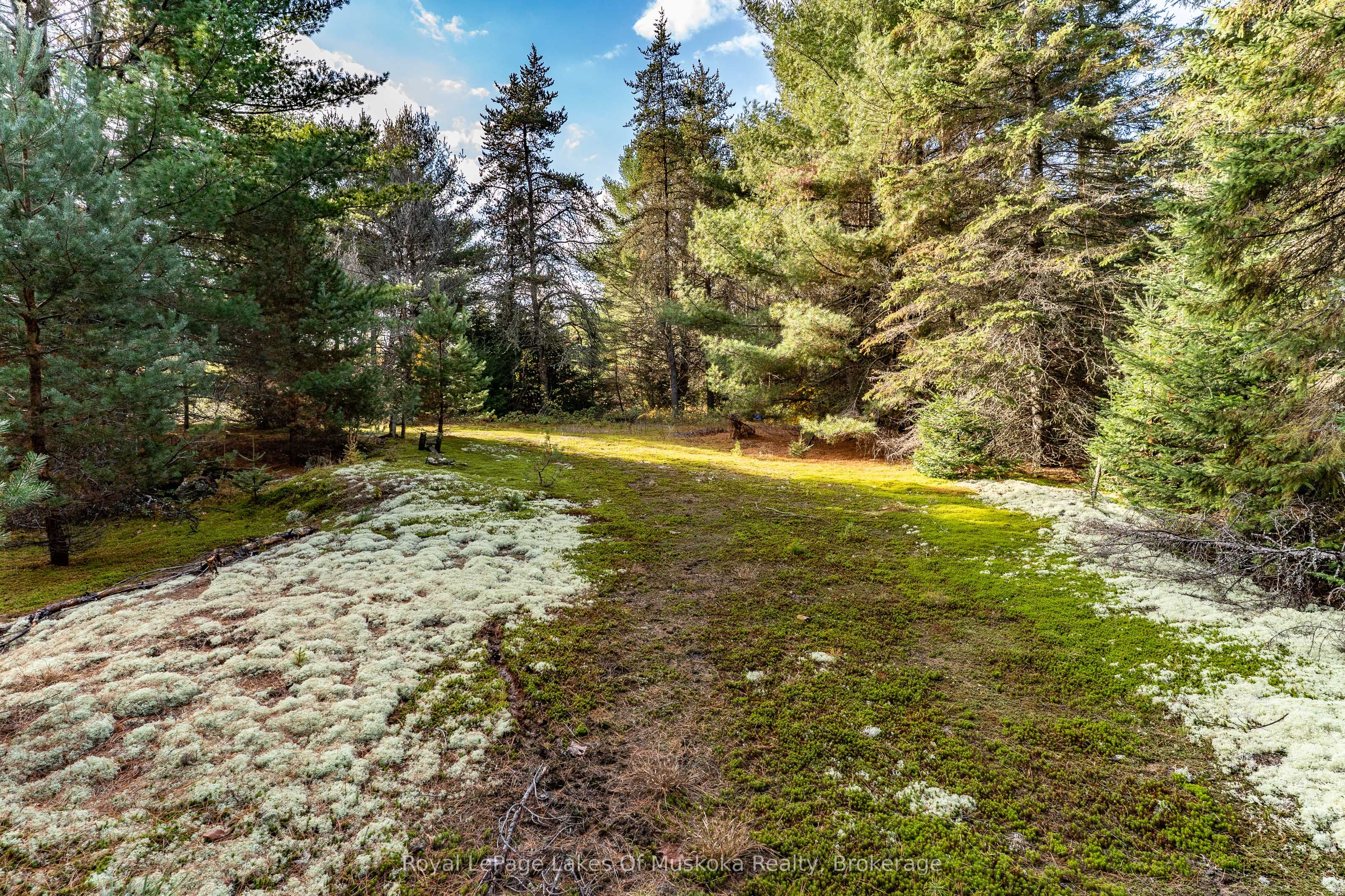 267 & 321 Cardwell Lake Road Property Photo 13