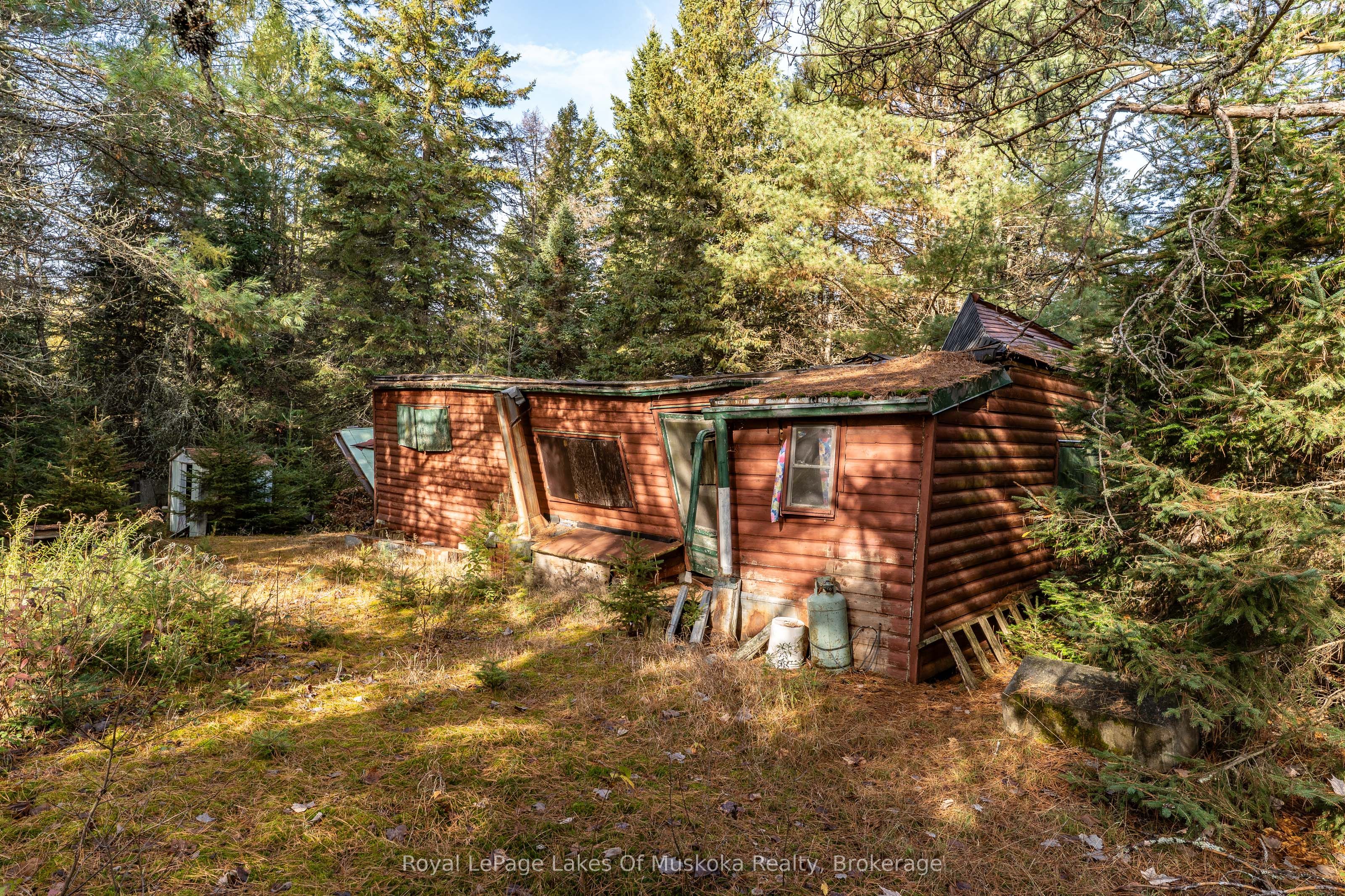 267 & 321 Cardwell Lake Road Property Photo 14