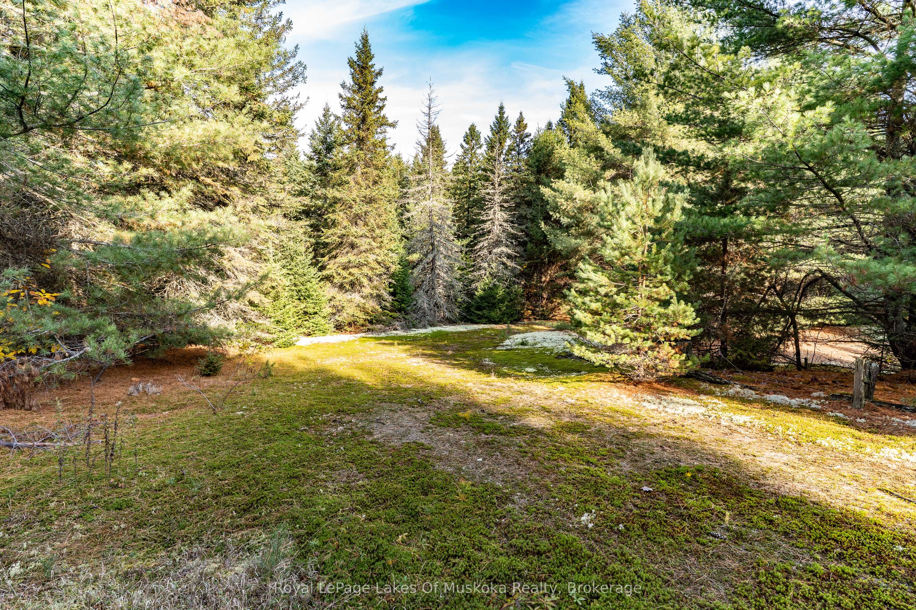 267 & 321 Cardwell Lake Road Property Photo 15