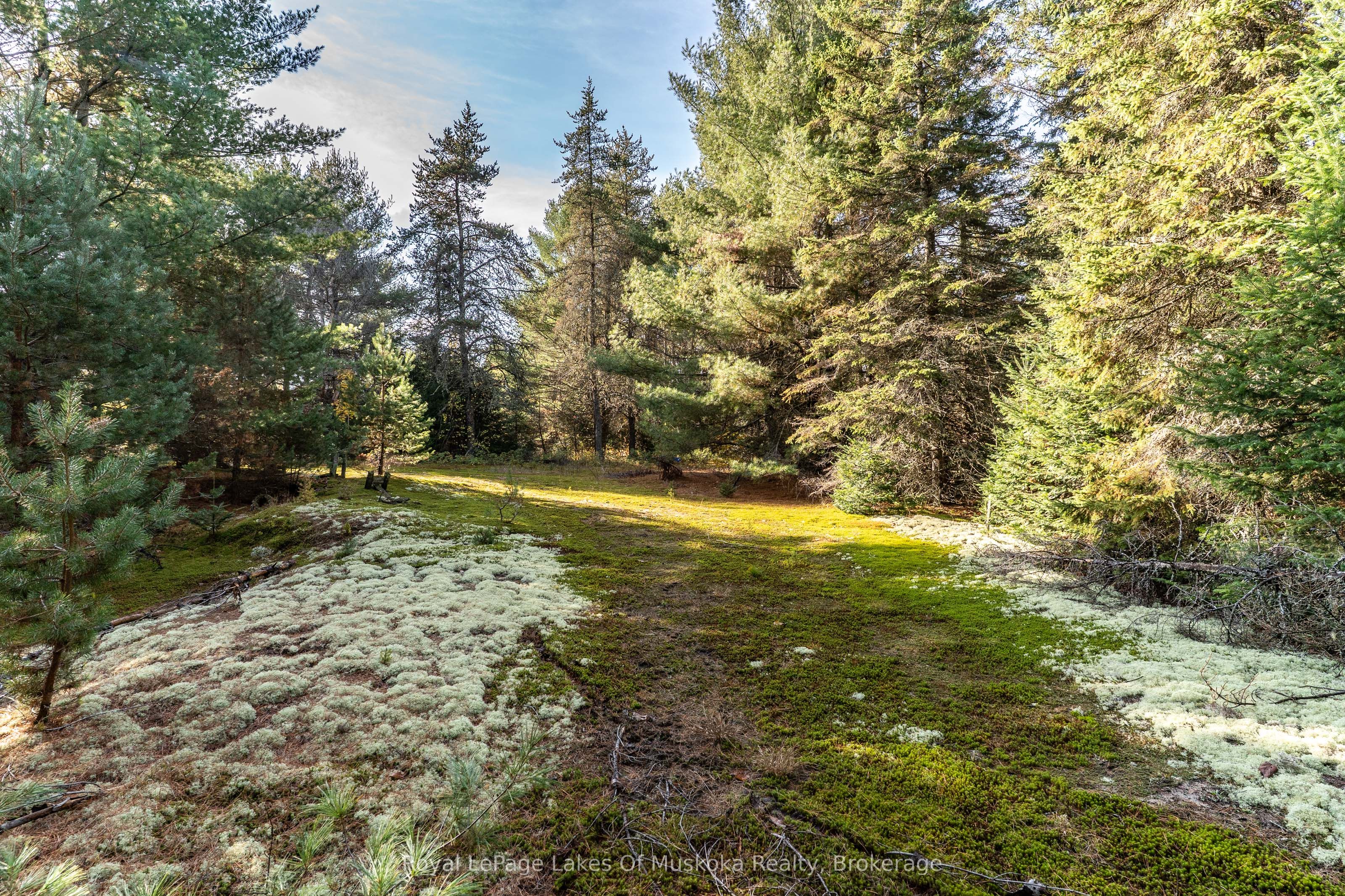 267 & 321 Cardwell Lake Road Property Photo 16