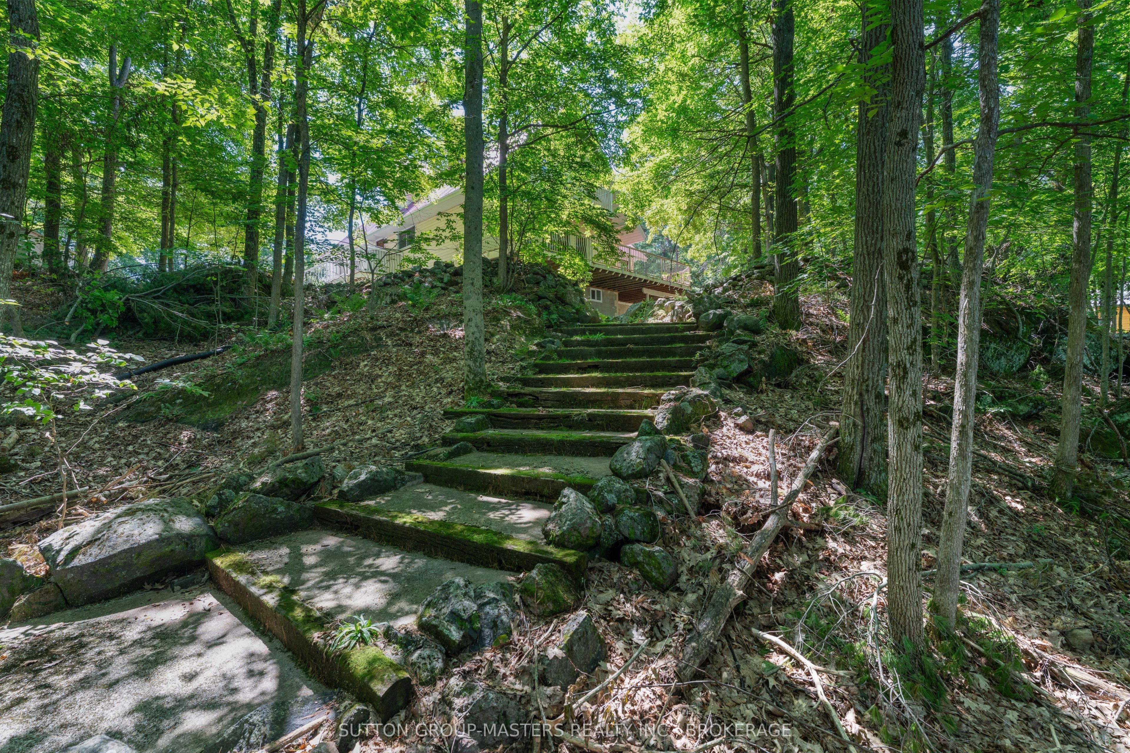 3659 Moore Farm Lane Property Photo 42