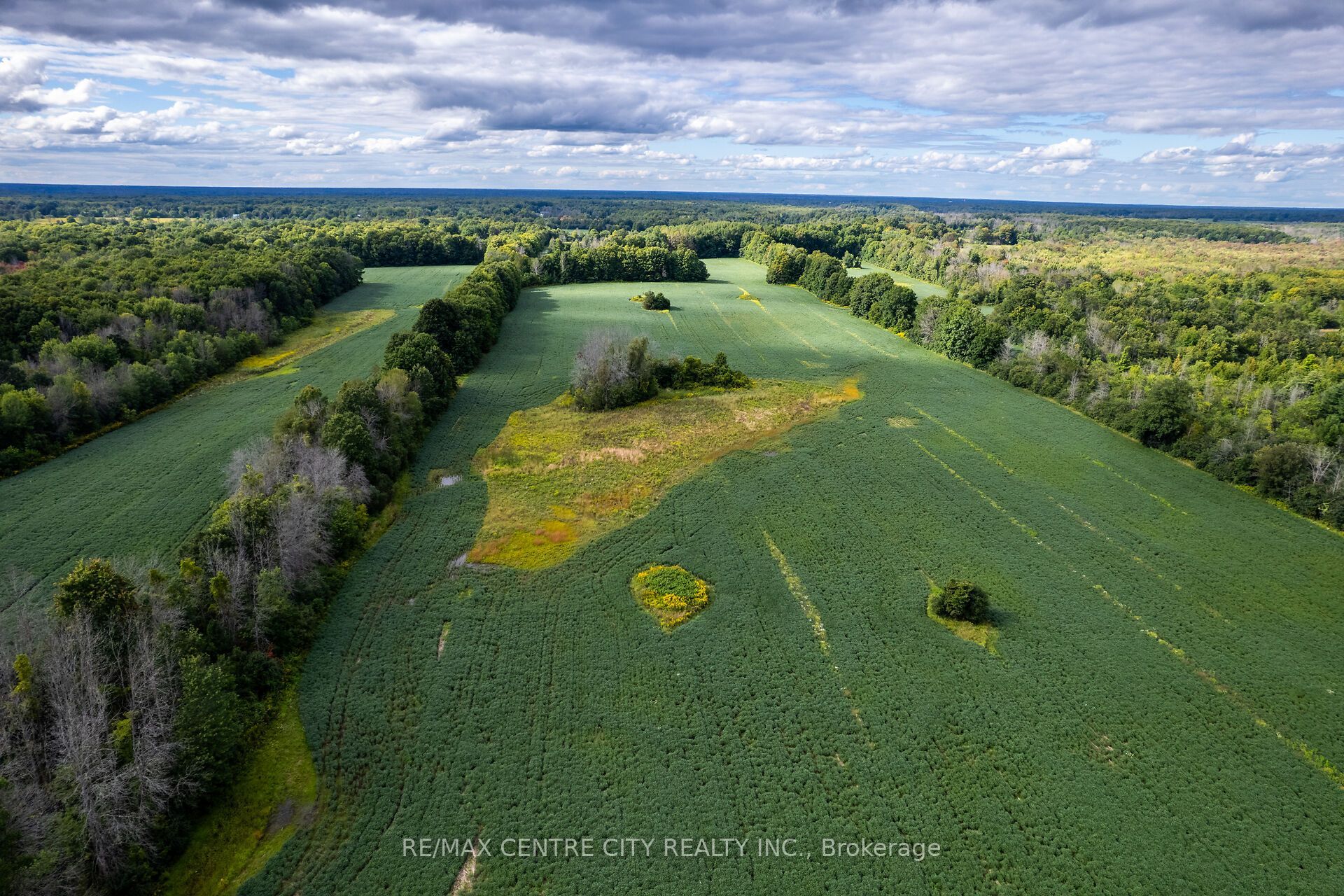 6628 Nash Side Road Property Photo 4