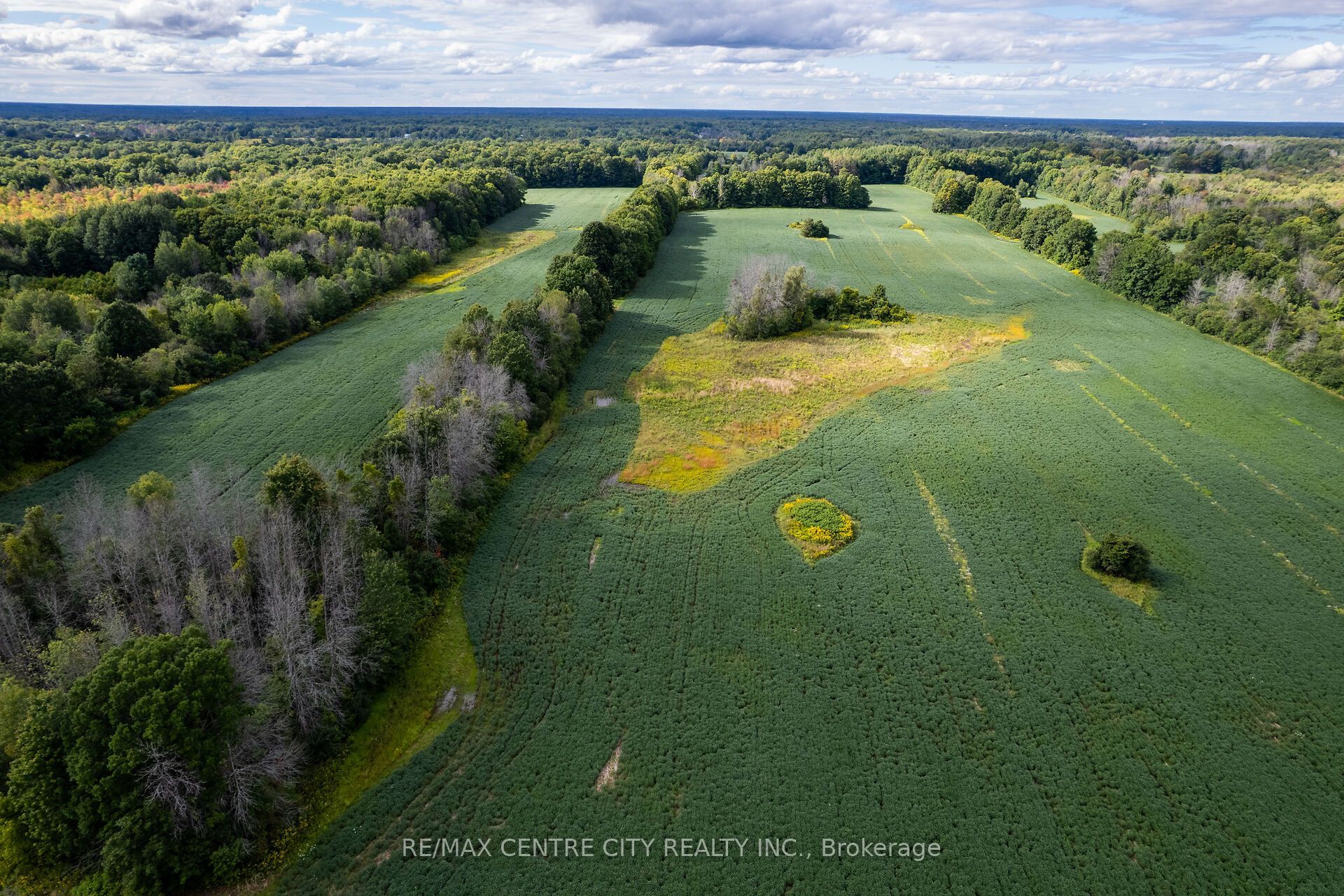6628 Nash Side Road Property Photo 5