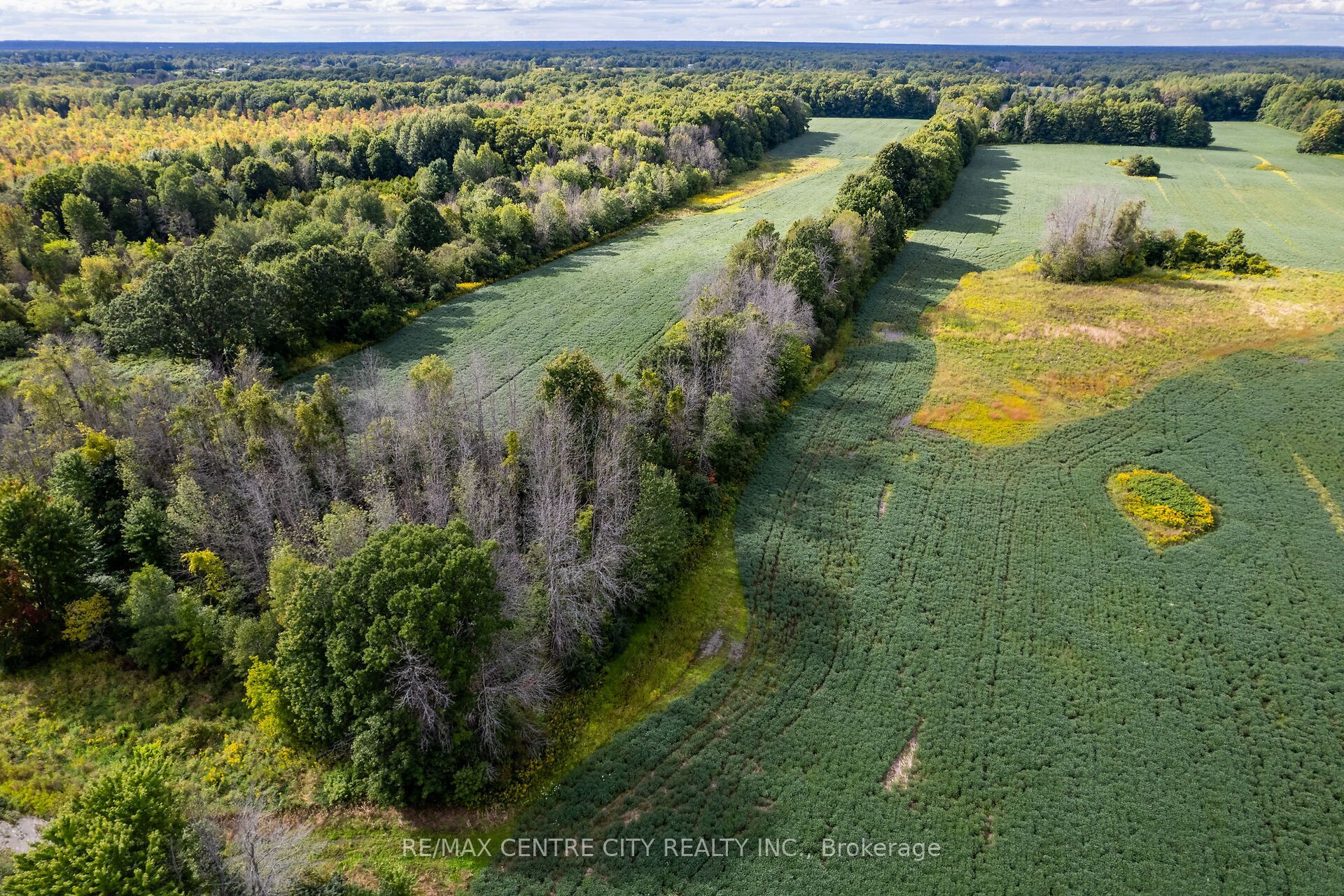 6628 Nash Side Road Property Photo 6