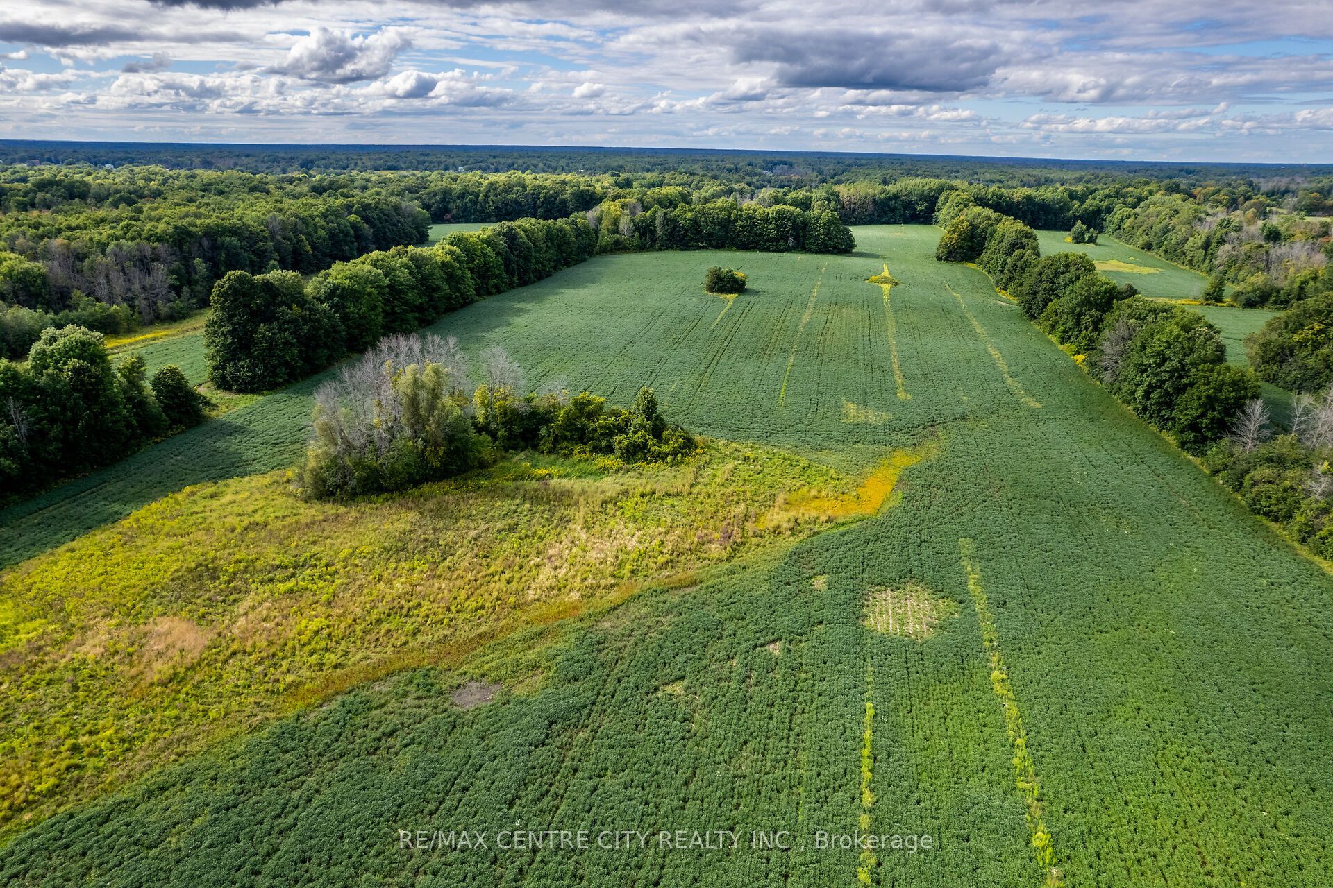 6628 Nash Side Road Property Photo 8