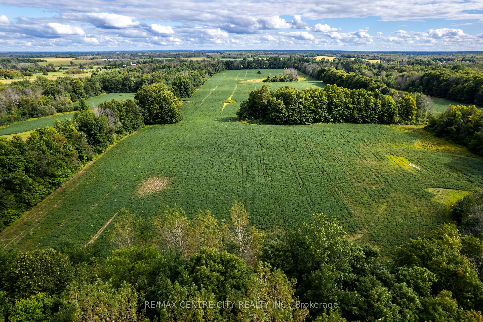 6628 Nash Side Road Property Photo 10