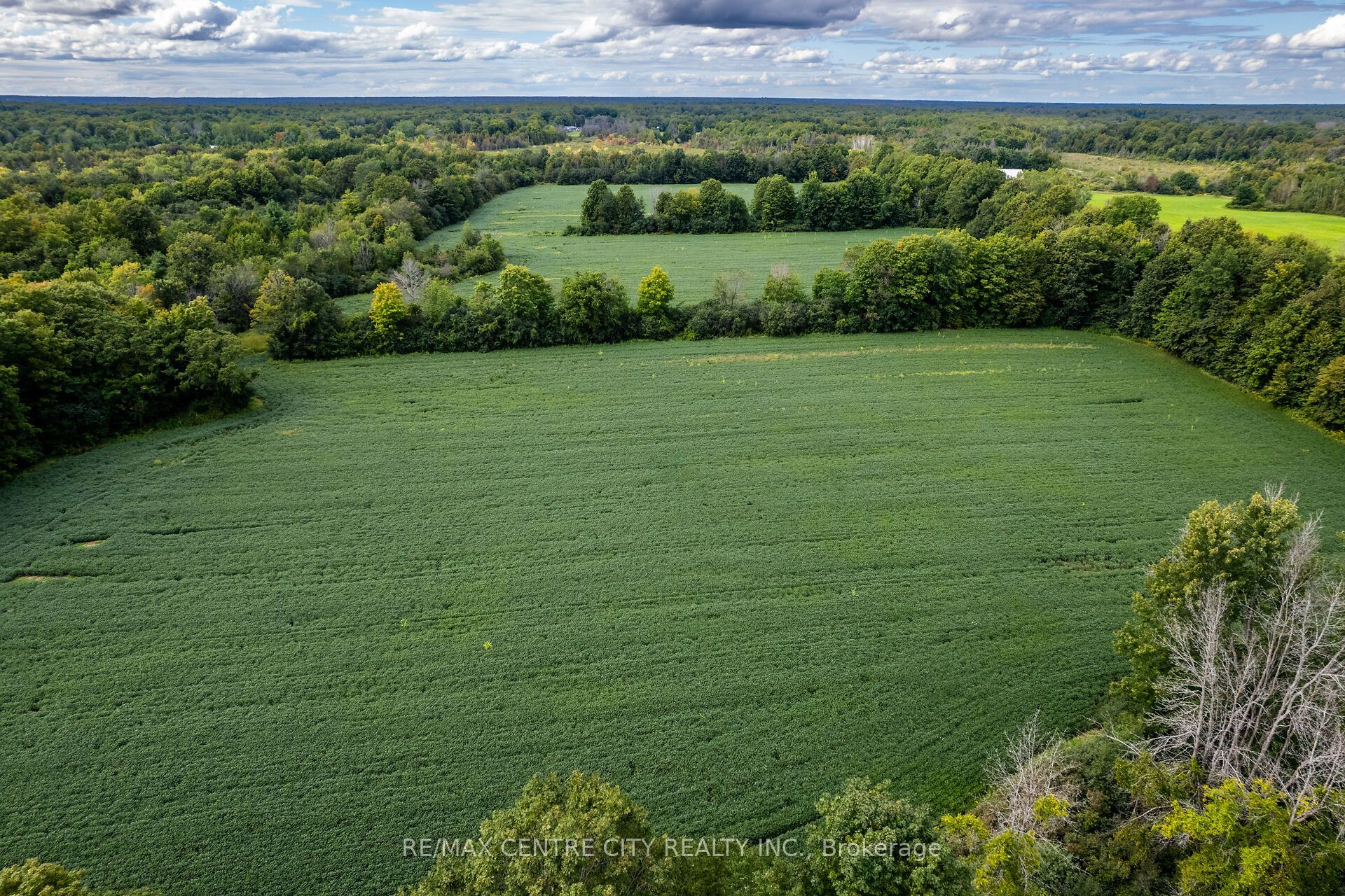 6628 Nash Side Road Property Photo 11