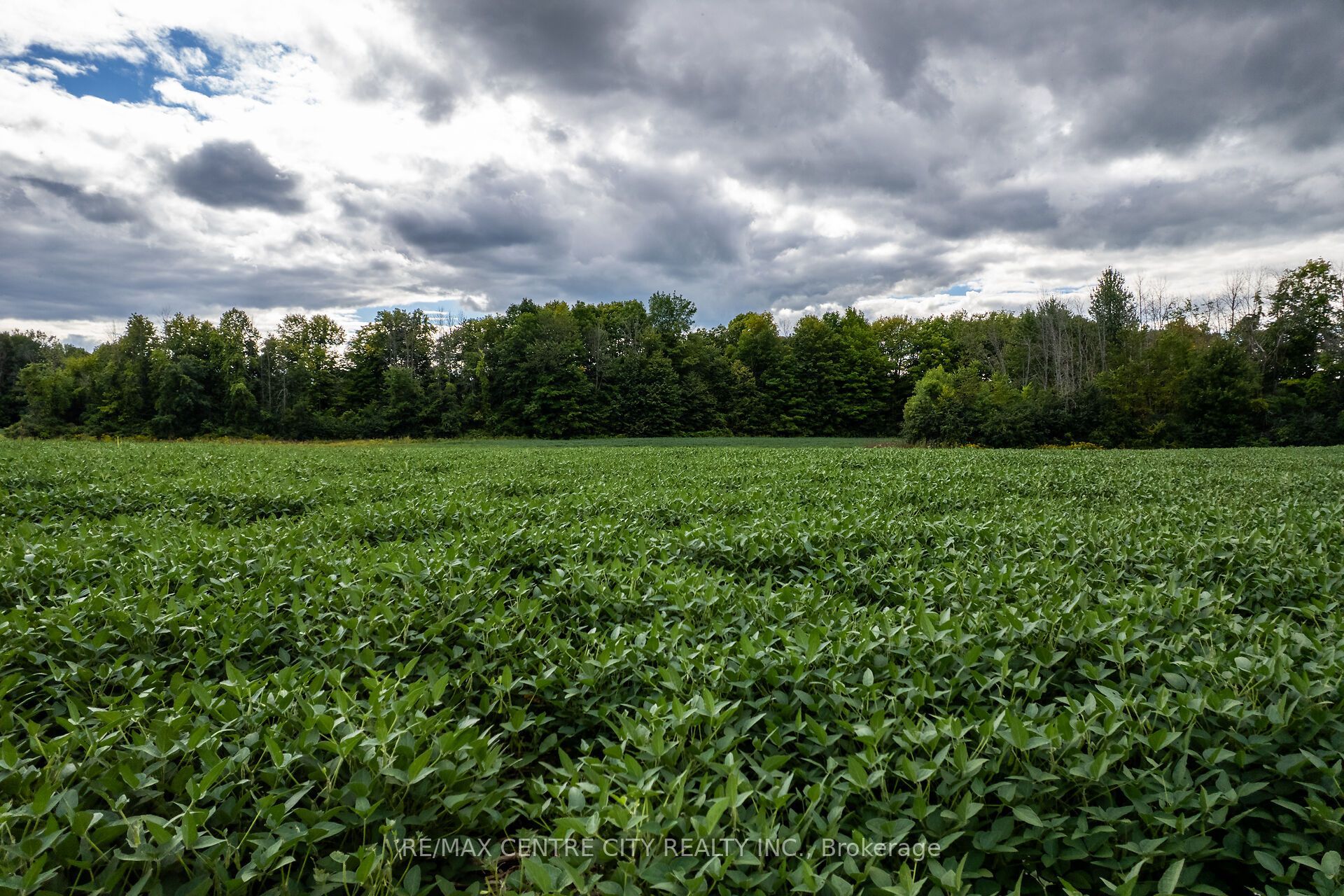 6628 Nash Side Road Property Photo 14
