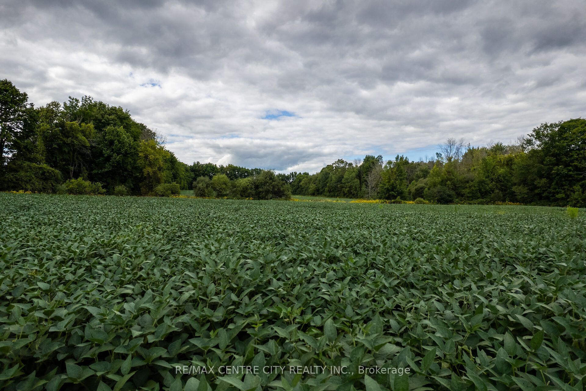 6628 Nash Side Road Property Photo 15