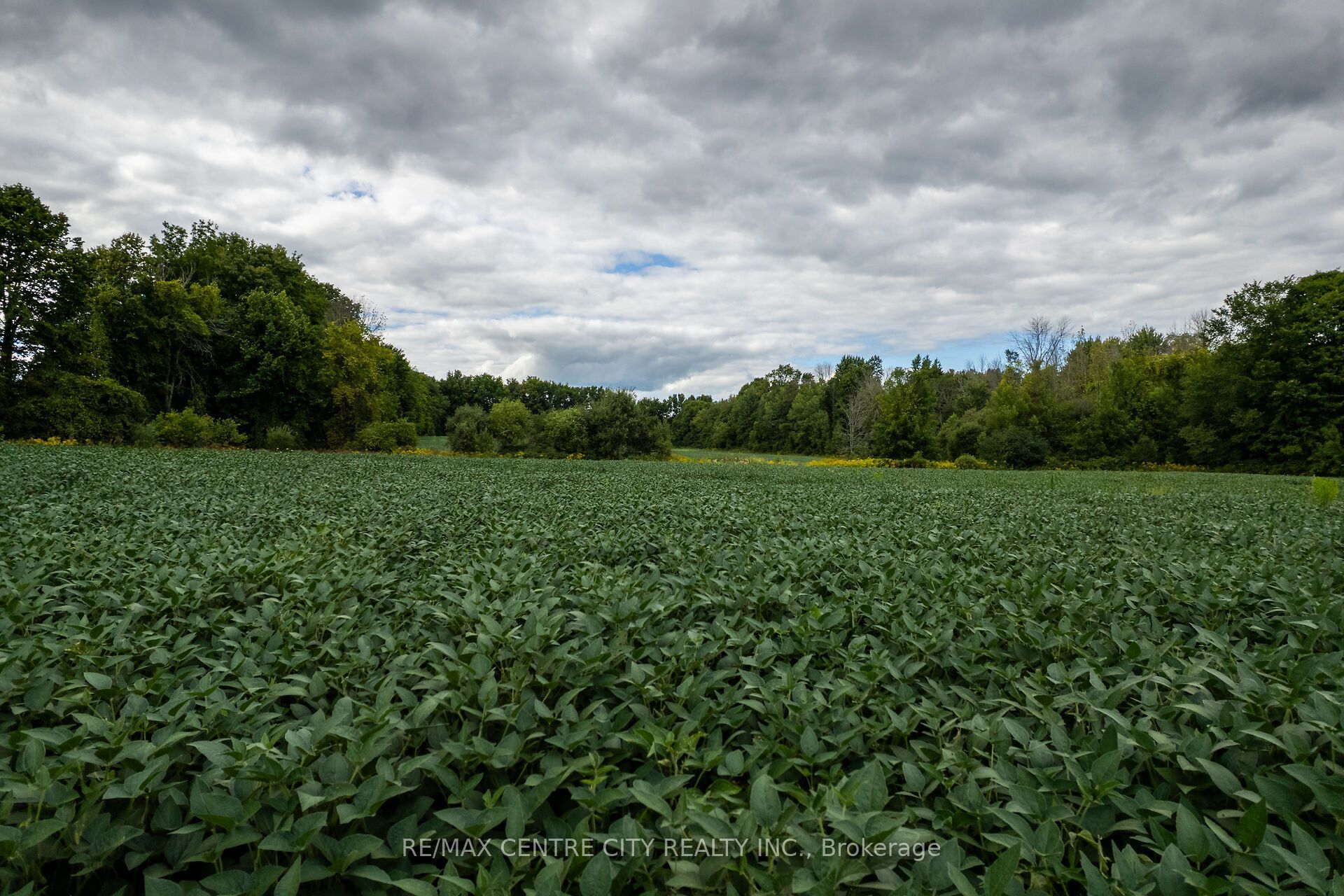 6628 Nash Side Road Property Photo 16